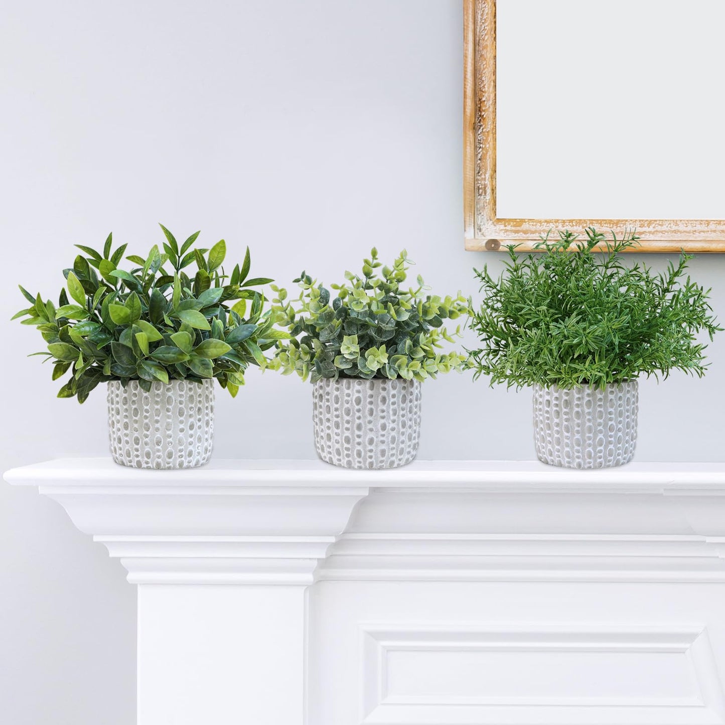 Winlyn 3 Pcs Artificial Potted Plants - Faux Eucalyptus, Boxwood, Rosemary, Greenery in Small Concrete Pots -Desk, Table, Shelf, Windowsill Decor for Indoor Outdoor Home Office