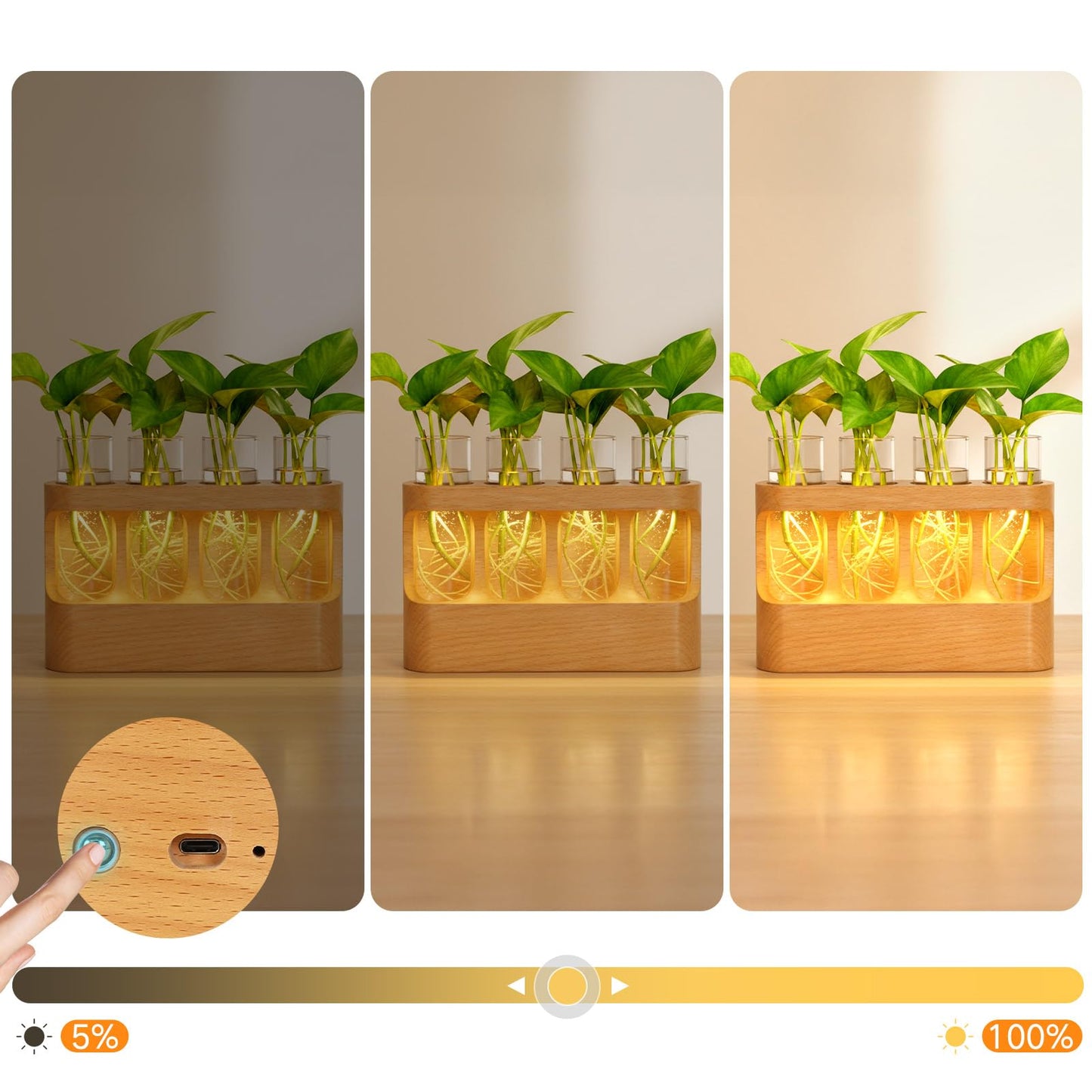 OUTON Rechargeable Plant Propagation Station with LED Light, Wooden Propagation Vase Set with Glass Tubes, Lighted Plant Terrarium for Indoor Plant Cuttings, Gift for Plant Lovers