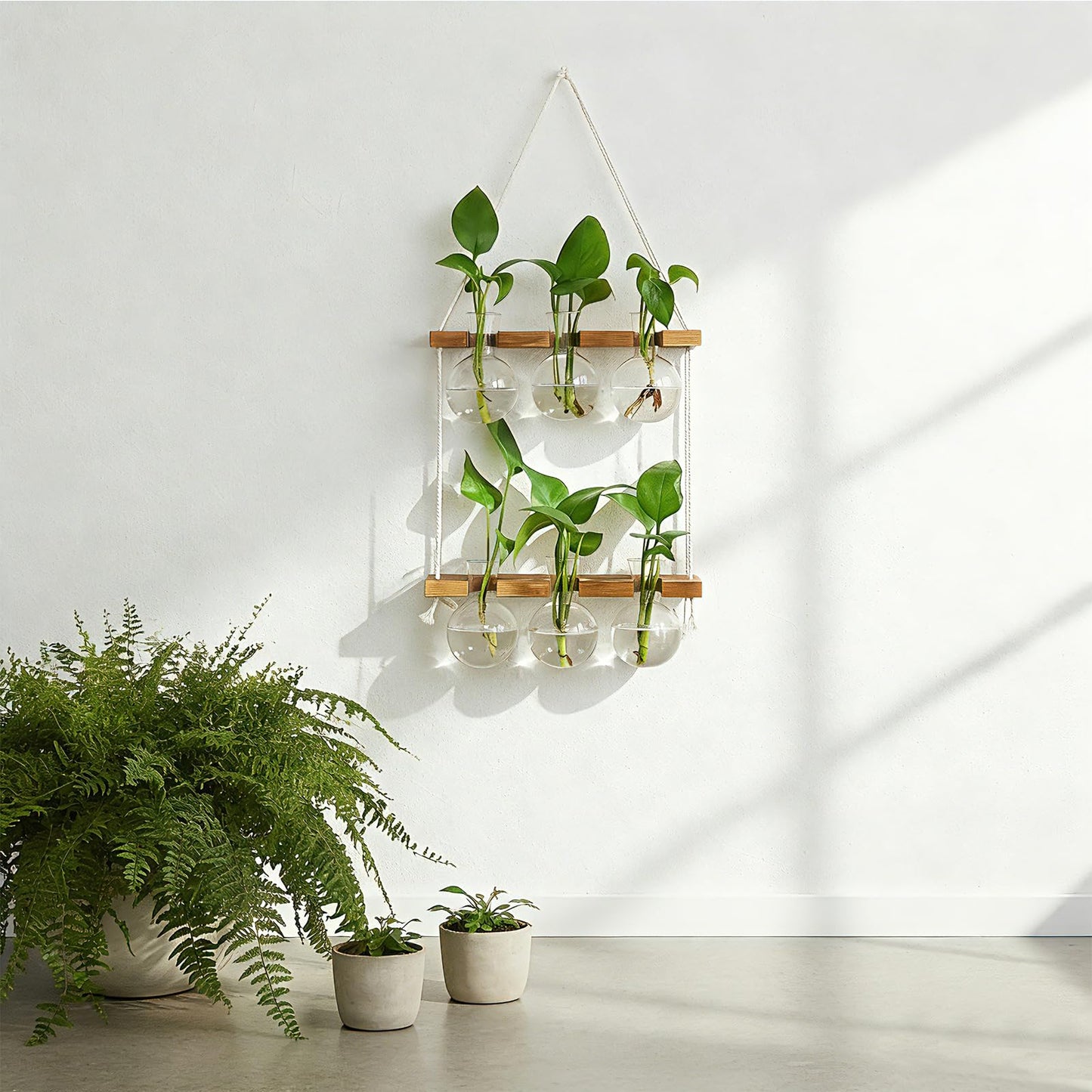 Renmxj Plant Propagation Station Wall Hanging with 2 Tiered Wooden Stand