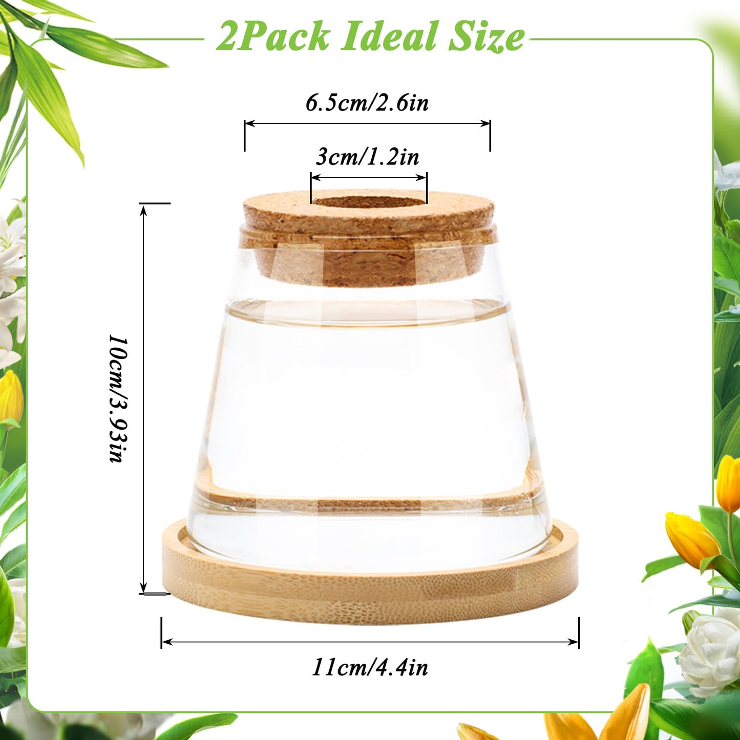 Coldairsoap 2 Pcs Plants Propagation Station, Separated Desktop Glass Planter Station Hydroponics Plant Terrarium with Wooden Tray & Lid Glass Vase Propagating Jars Gifts for Women Mom Plant Lovers
