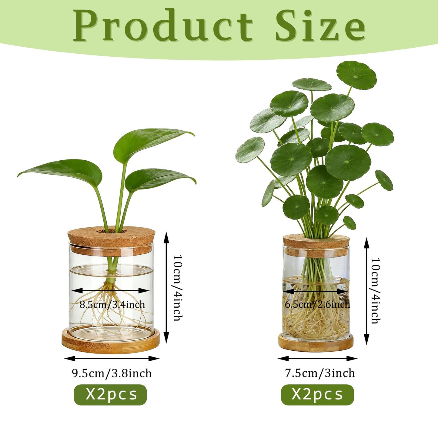 SPRFAIRY 4 Set Glass Plant Propagation Station for Plant 2 Large & 2 Small