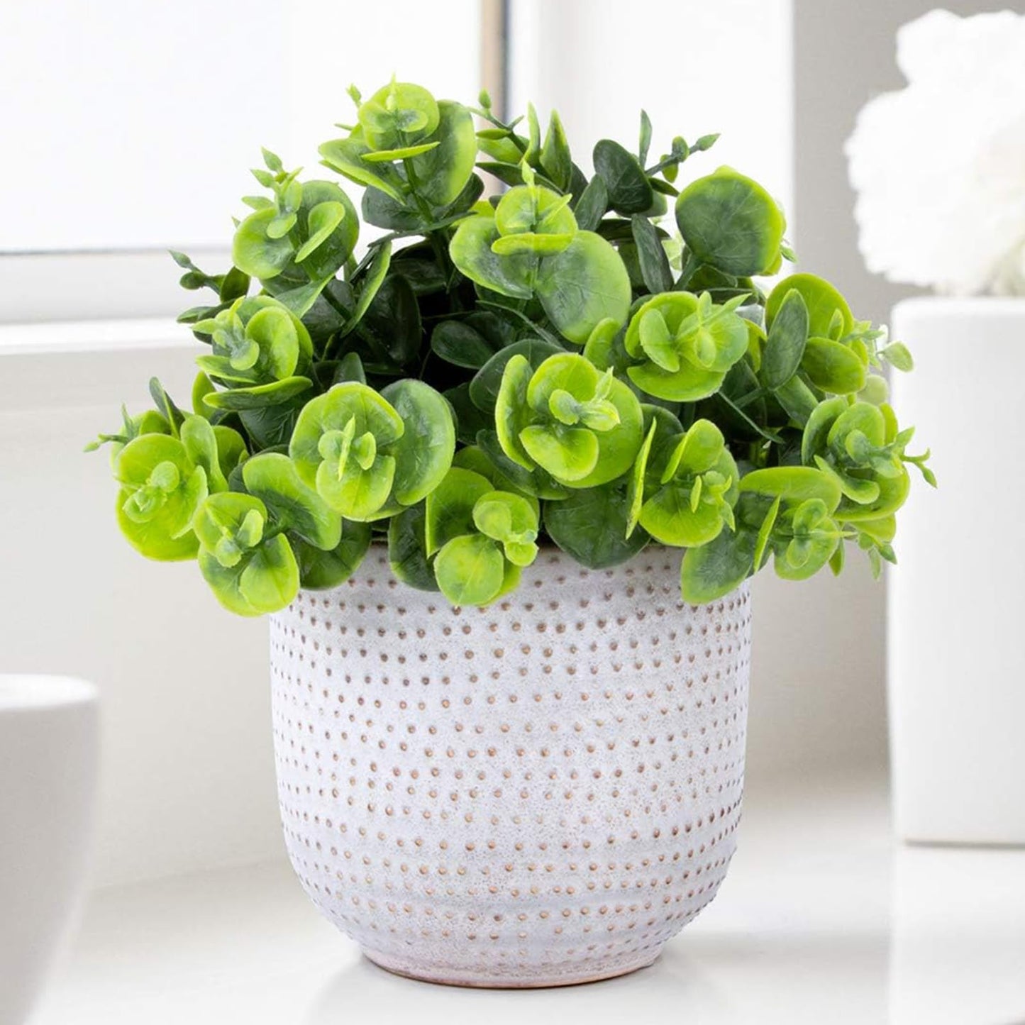 Karlliu Artificial Plants in Ceramic Planter Cute Lysimachia Fake Succulent Flowers Potted for Home Office Table Desk Decor Living Room Bathroom Bedroom Shelves Decoration