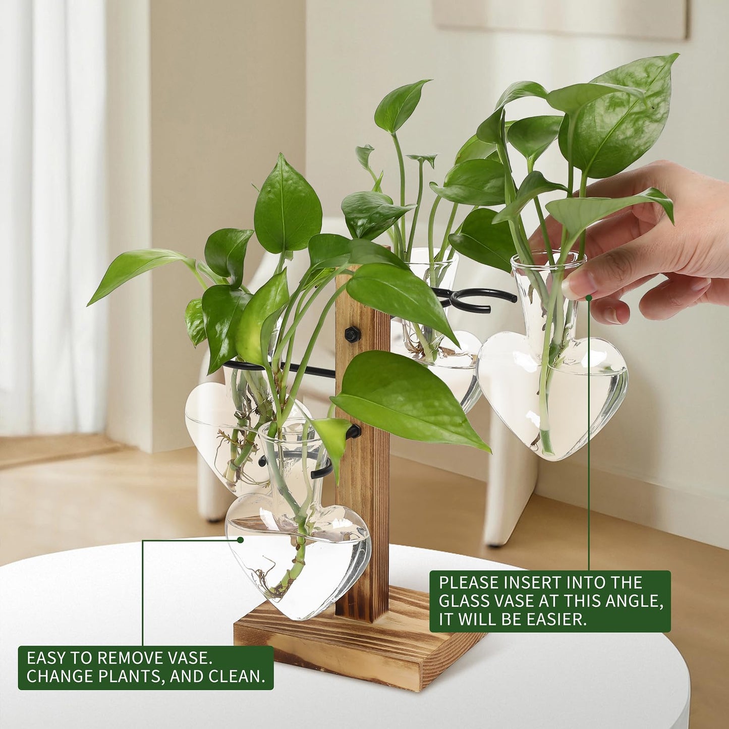 CYZglass Plant Terrarium Propagation Stations with Wooden Stand