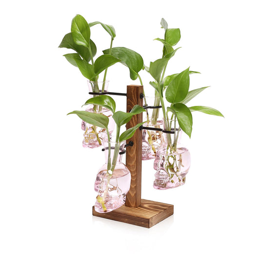 Plants Propagation Stations Skull Glass Propagation Birthday Gift for Women