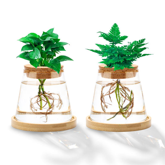 Coldairsoap 2 Pcs Plants Propagation Station, Separated Desktop Glass Planter Station Hydroponics Plant Terrarium with Wooden Tray & Lid Glass Vase Propagating Jars Gifts for Women Mom Plant Lovers