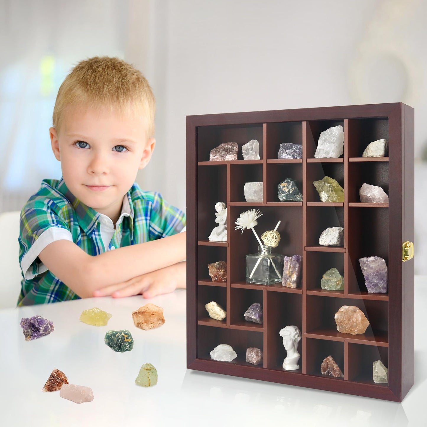 FramePro Rock Display Case - Adjustable Mineral Collection Box with Glass Lid, Wooden Cabinet for Rock, Fossil, Crystal, Seashell Collections - Geology Gift for Adults/Kids (16" x 13.5", Brown)