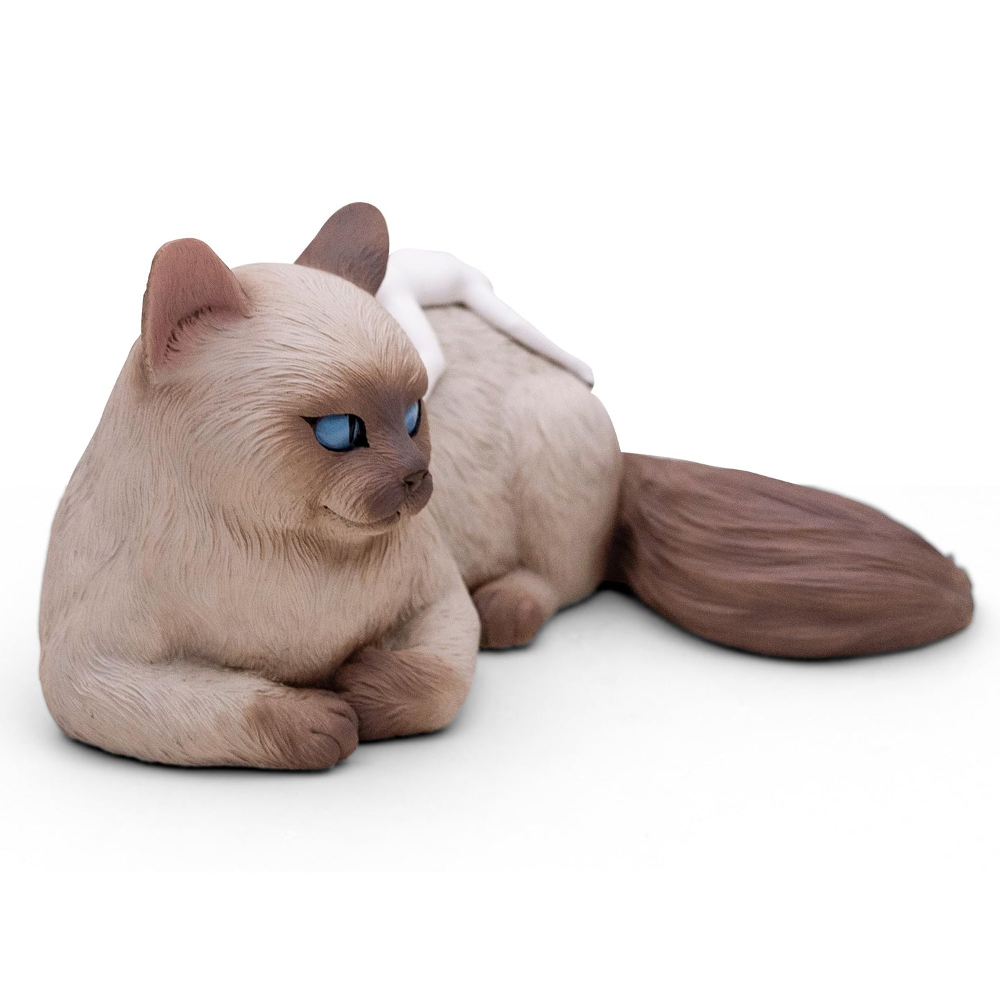 JARLL Handcrafted Birman Cat Figurine with Resting Human, Symbolic Sculpture of Trust and Emotional Bond, Unique Home Decor Gift for Cat Lovers & Pet Owners