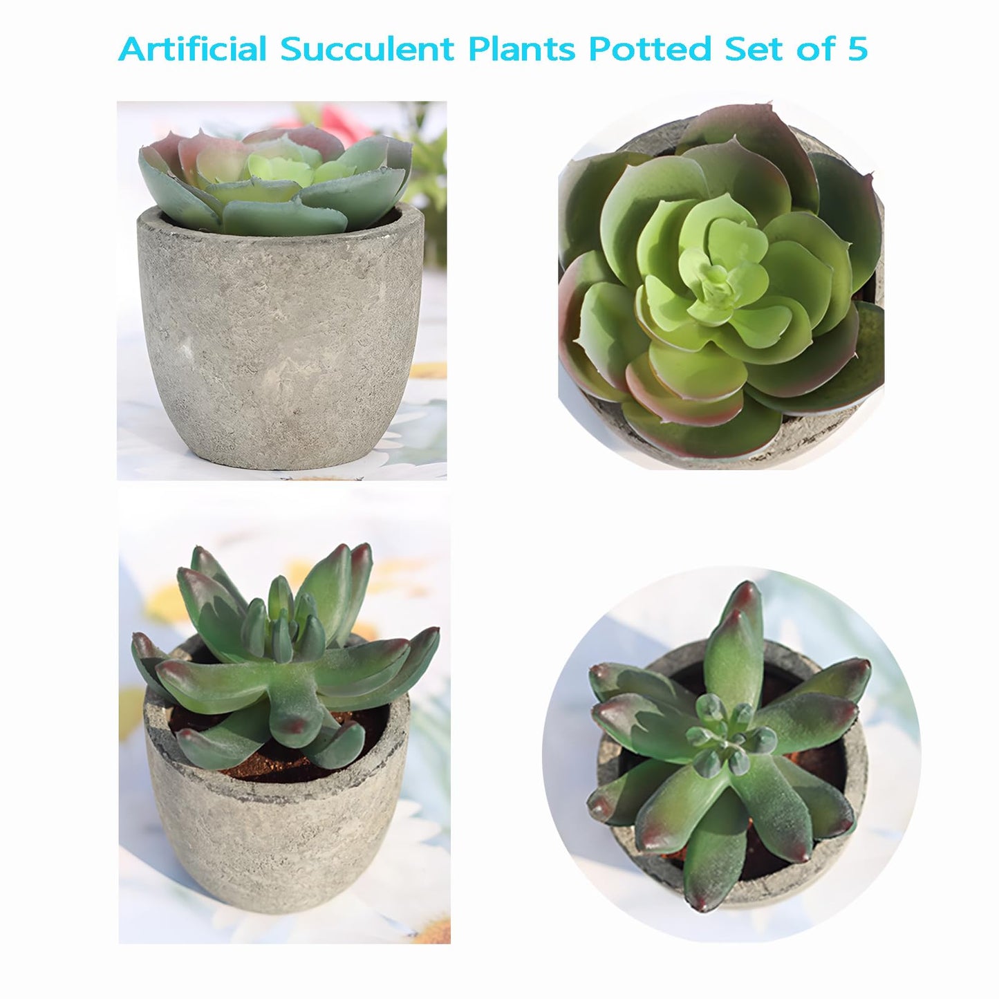 wiwauouo Set of 5 Artificial Succulent Plants in Pots - Lifelike Fake Succulents for Desk Decor, Low-Maintenance Home & Office Decor Gift