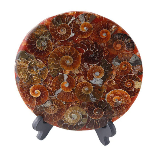 ZHDECOR Natural 11cm Natural Ammonite Shell Plate with Shelf, Mineral from Madagascar Circle Disk, Reiki Crystal Healing Stones Decorations