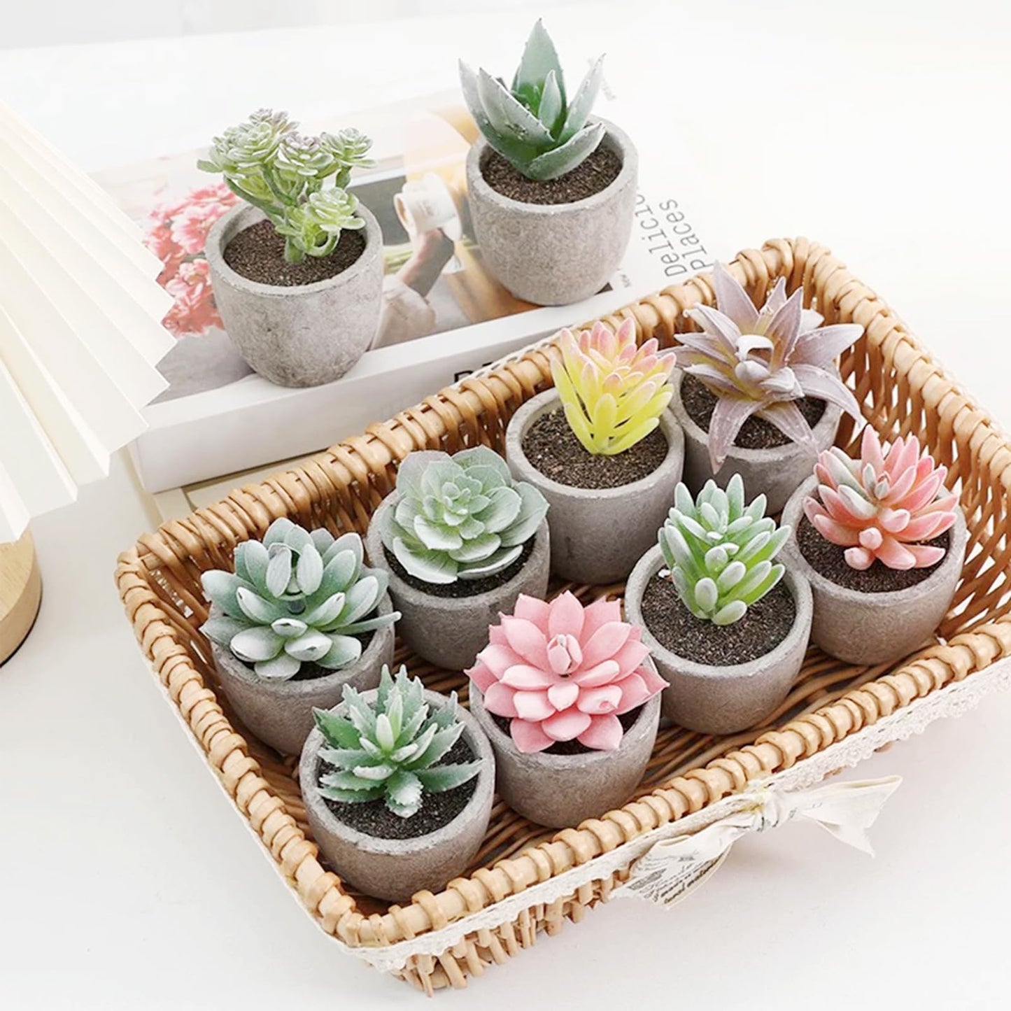 Cayway 6 PCS Artificial Succulents Plants, Mini Fake Plants in Pots, Small Succulents Plants Artificial for Office Desk Home Living Room Table Decor Indoor