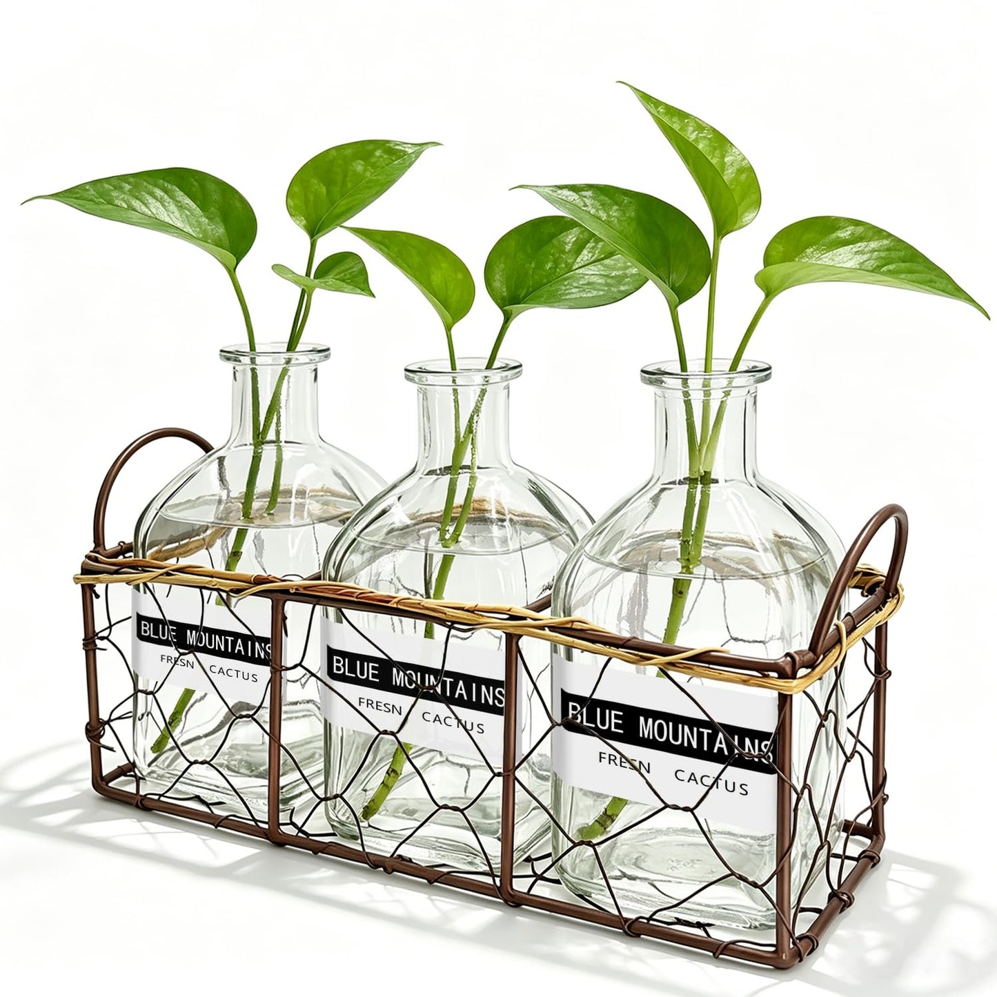 Plant Propagation Stations with Metal Stand, Willow-Woven Wire Mesh Retro Glass Planter for Hydroponic Propagating, Desktop Terrarium Flower Vase for Home Kitchen Office Decor Gifts, 3 Jars
