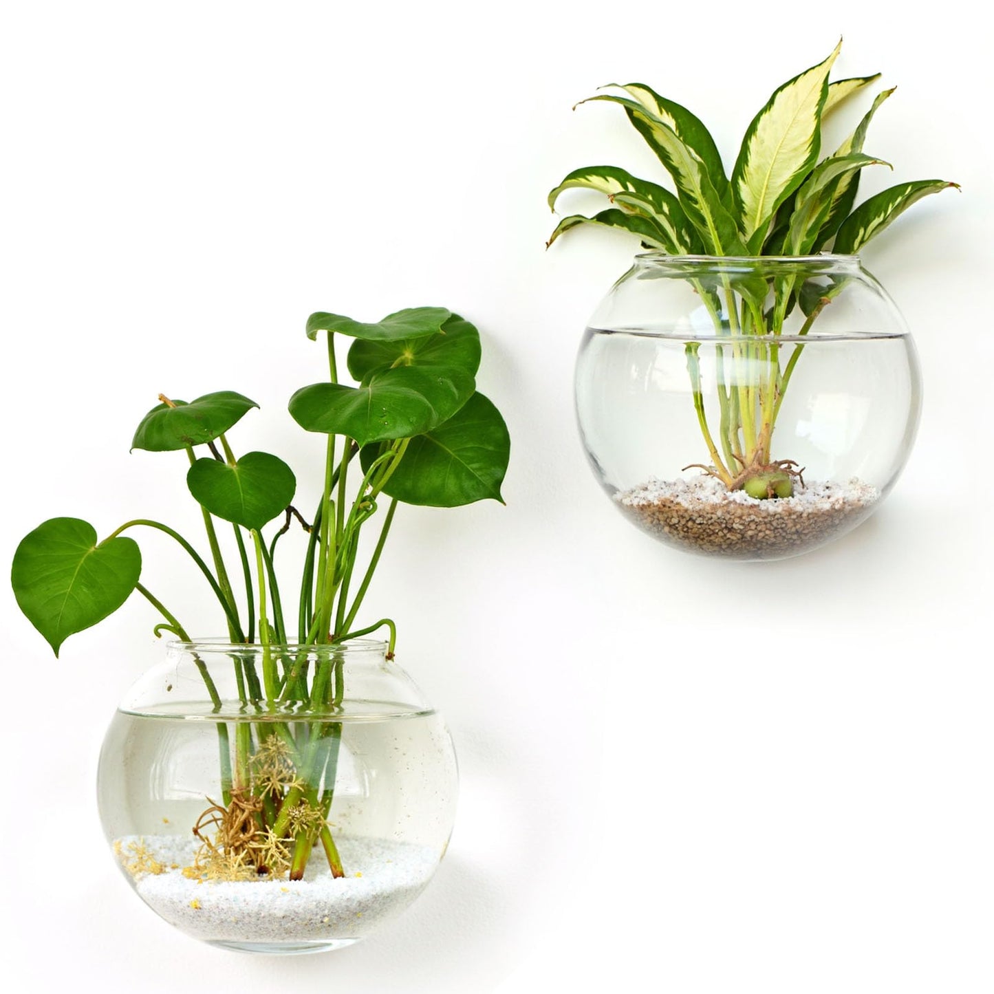 DomeStar Set of 2 Wall Vases, Wall Mounted Propagation Station Hanging Glass Vases Terrarium Station for Hydroponics Plants Home Office Decor (5 inch)