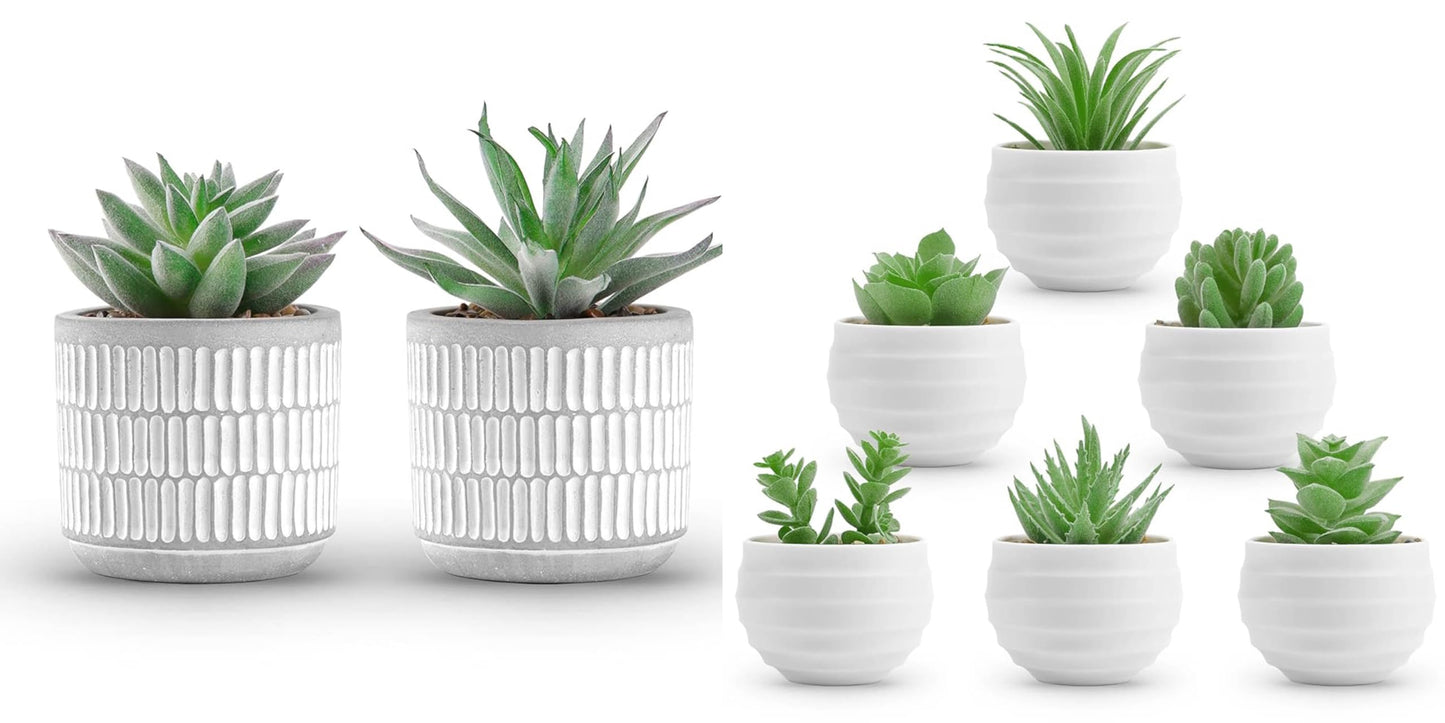 Der Rose A Bundle of Set of 2 Succulents Plants and 6 Packs Fake Plants Small Realistic Succulents Plants Artificial for Home Room Decor Indoor