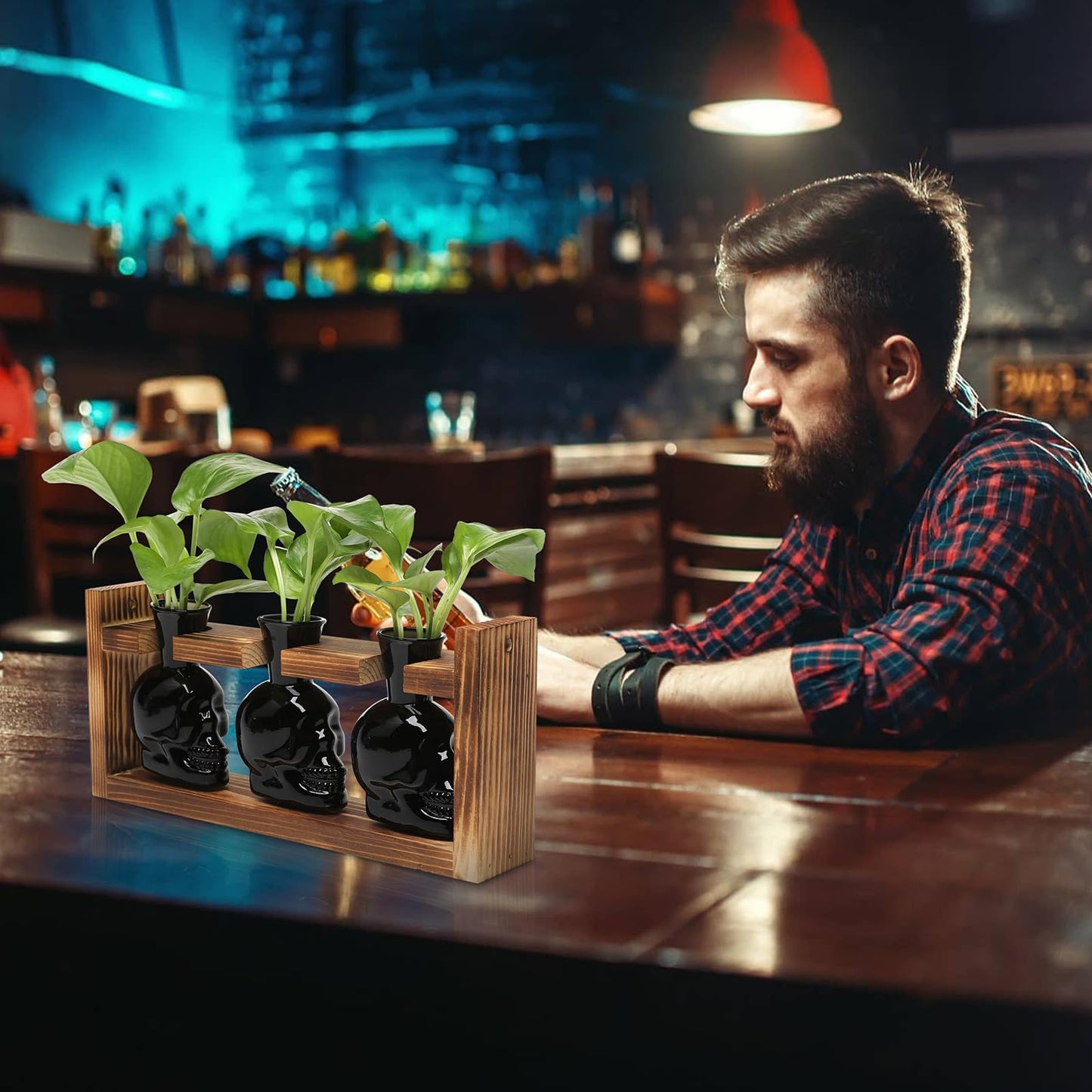 Plant Terrarium Propagation Stations Hydroponics Halloween Skull Planter