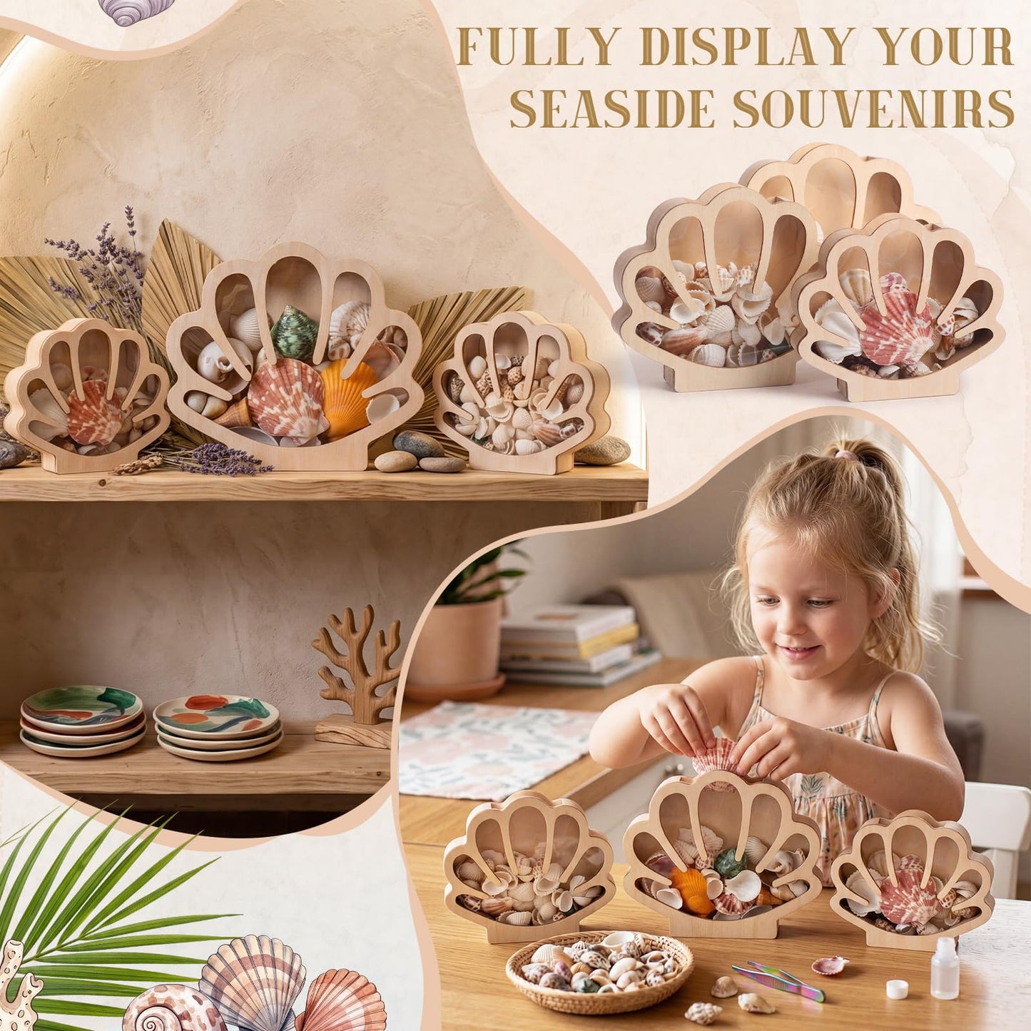 Mifoci 3 Pcs Seashell Display Box Wooden Scallop Shaped Sea Shell Holder with Acrylic Clear Window Starfish Display Case Shadow Box for Sea Glass Shark Tooth Storage Collection Summer Home Decor