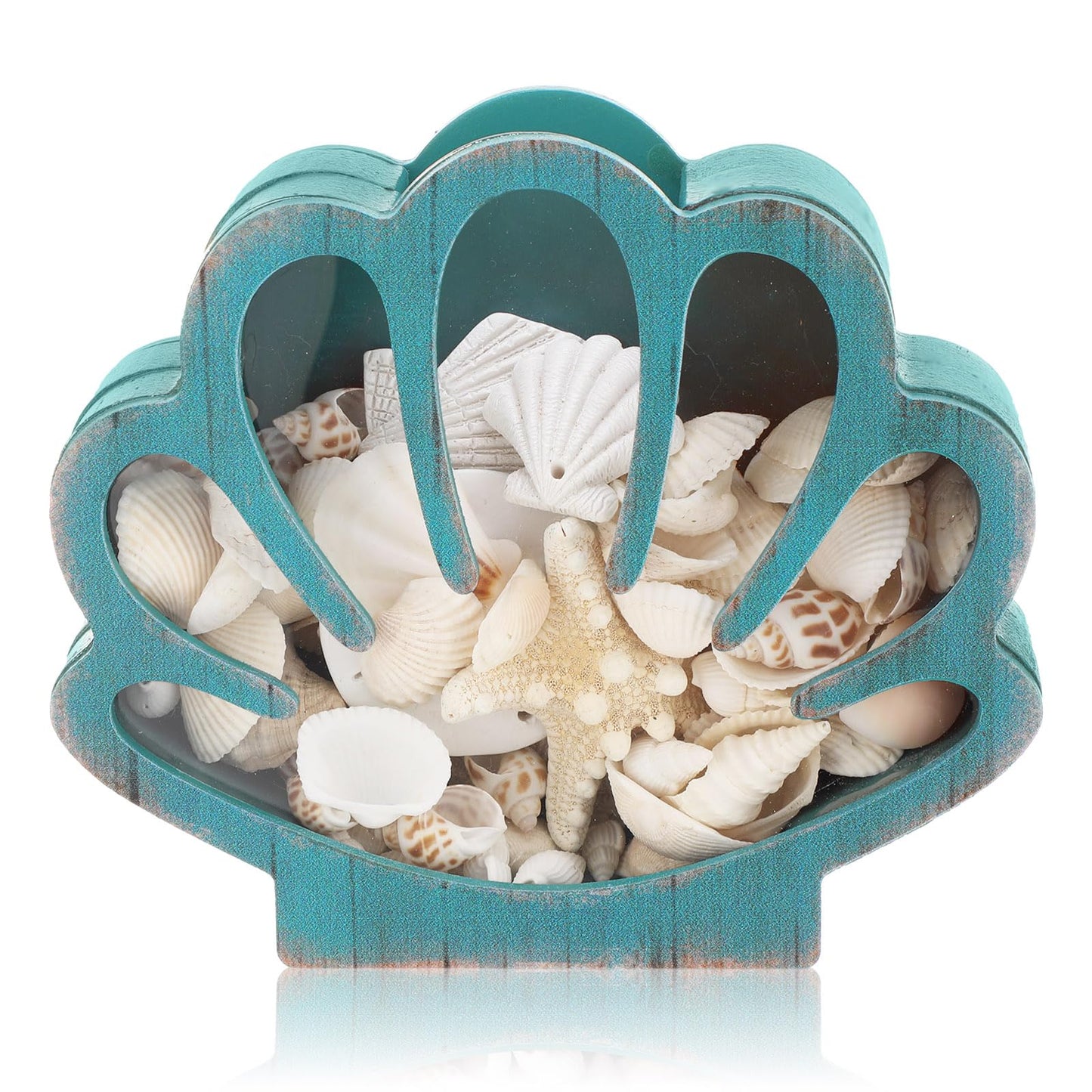 CroBlissful Seashell Holder Seashell Display Box Wooden Small Starfish Shell Display Case with Acrylic Clear Window Shark Tooth Collection Box for Shells Sea Rock Home Decor Present(Green,Shell)