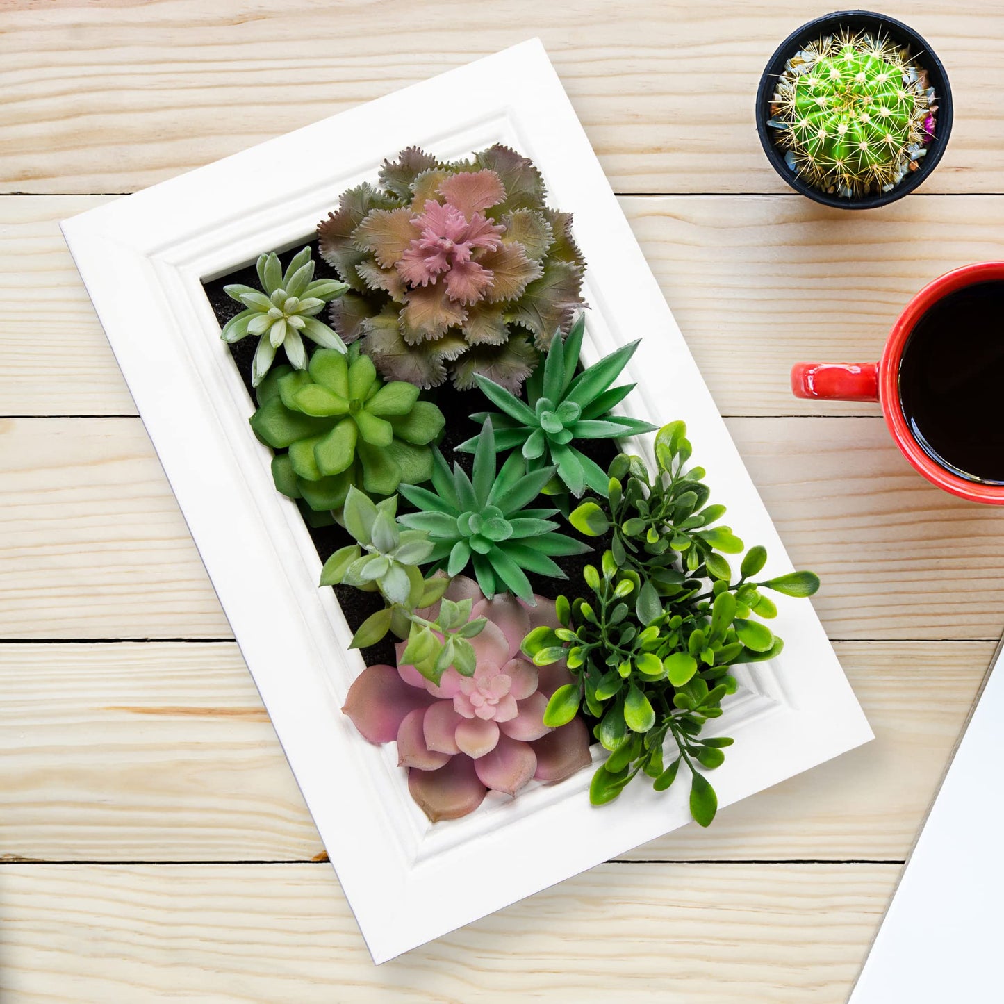 Nattol 3D Artificial Succulent Wall Art, Wood Frame with Realistic Faux Plant, Wall Hanging Botanical Decoration, Home Decor Idea for Vertical Garden and Fake Plants, White