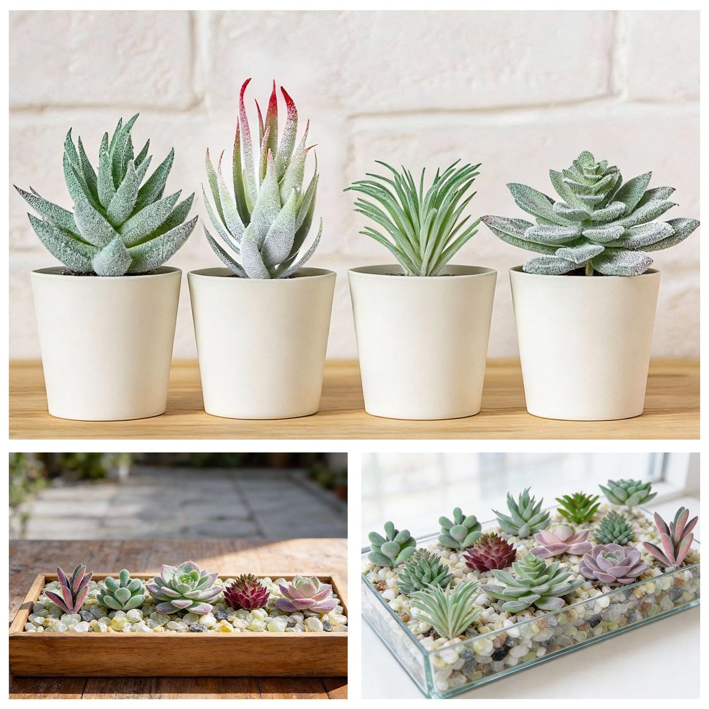 Suncalla 16 Pcs Artificial Succulent Plants with 2.2lb Small Decorative Jade Pebbles Set Small Plastic Faux Succulent Plants for Craft Flocked DIY Floral Home Garden Office Party Decor(Classic)