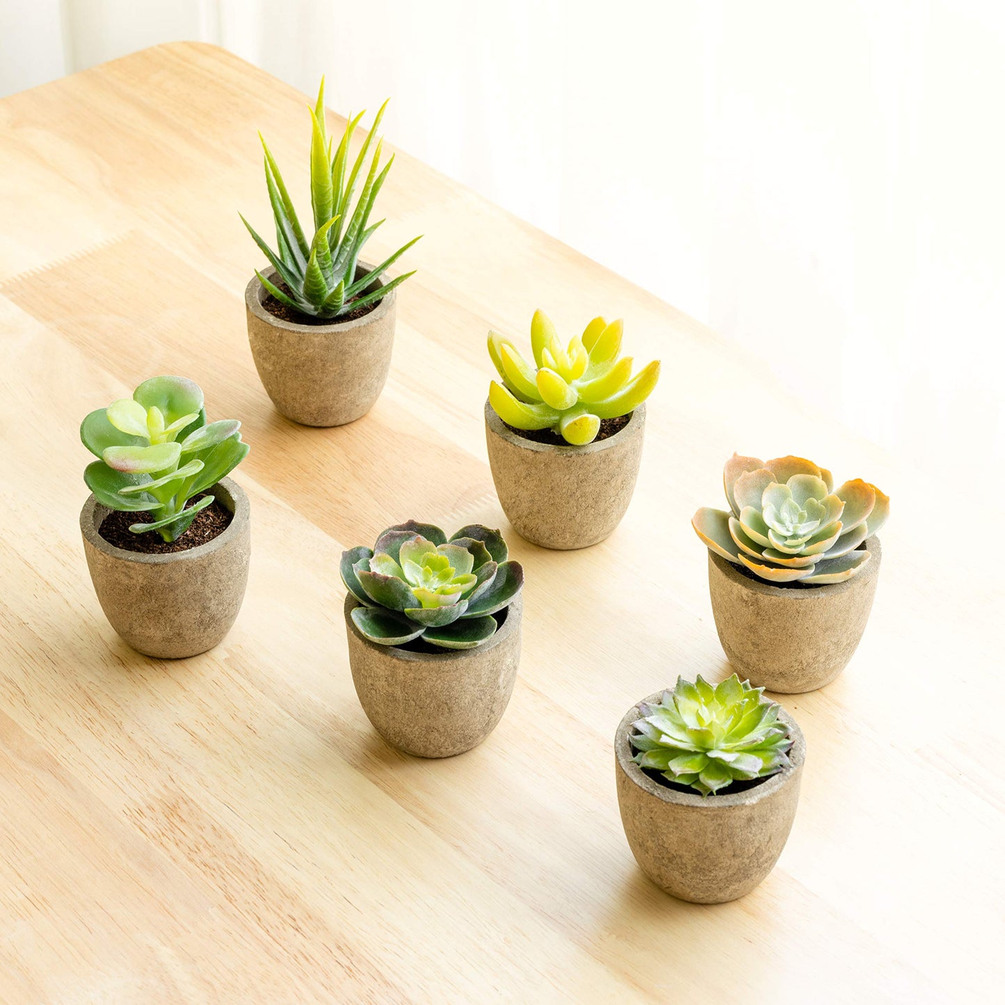 T4U Artificial Succulent Plants in Pot
