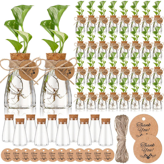 Baderke 24 Pack 3.35'' Plastic Plant Propagation Stations with Hole Lid Planter Vase Clear Propagation Jars with Thank You Tags for Plant Lover Gifts for Women Office Home Garden