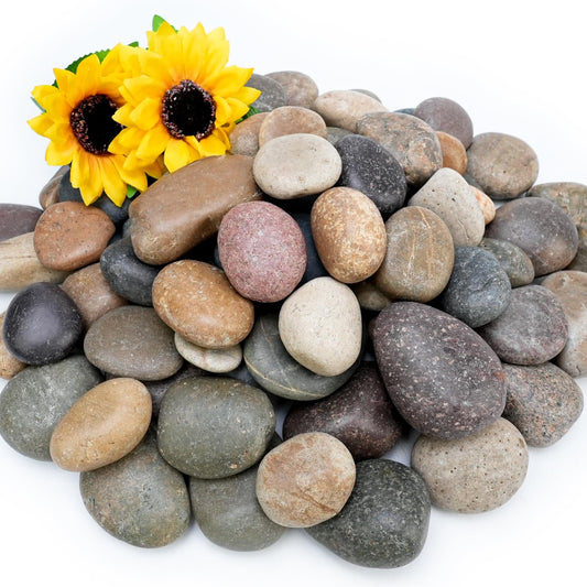 NUPICK 6lb Mexican Beach Pebbles, 2-3" Large River Rocks for Landscaping, Smooth Garden Rocks for Outdoor Paving, Natural Pebbles for Indoor Plants, Decorative Stones for Planters, Fish Tank, Fountain