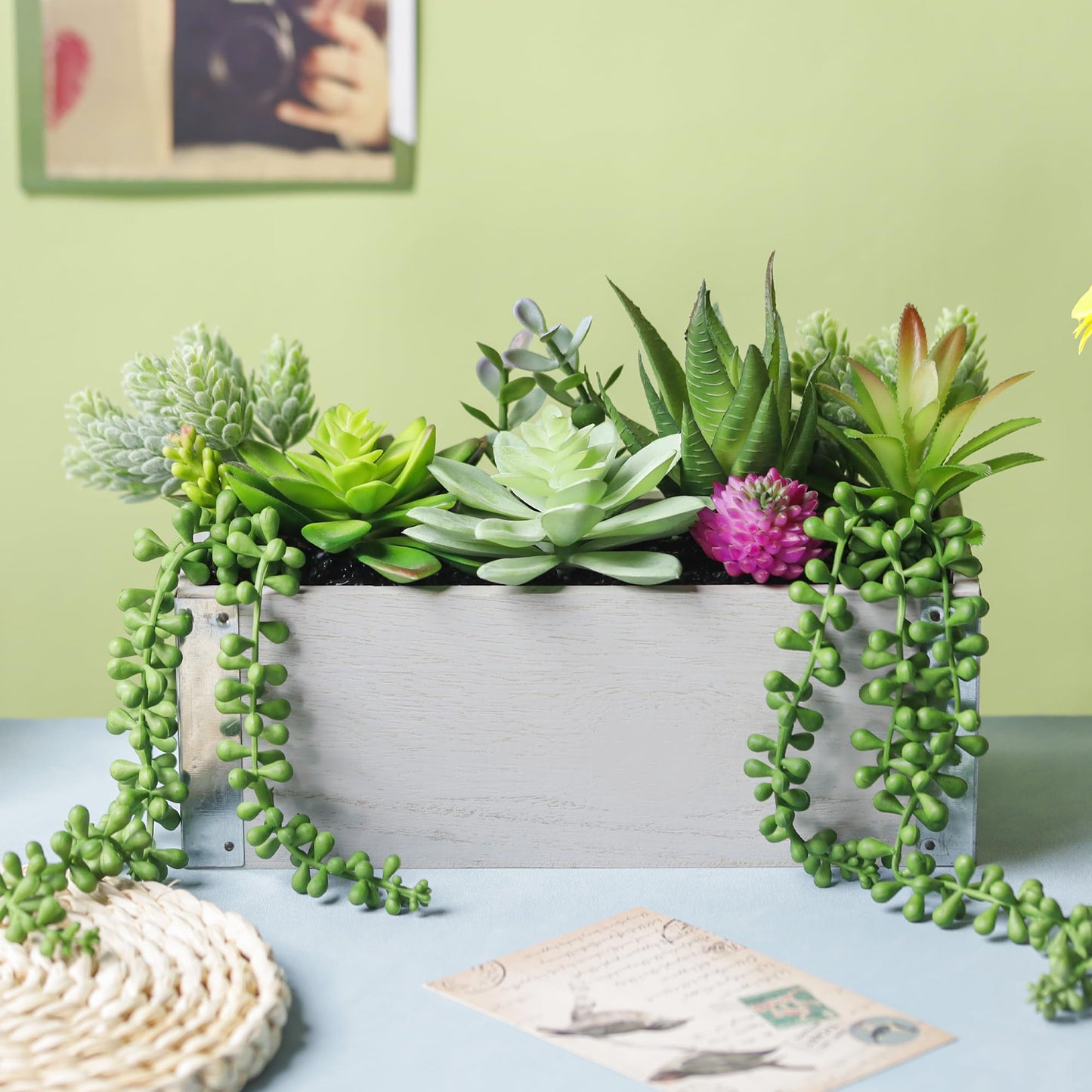 Der Rose Bundle of 10 Pcs Assorted Fake Succulents Plants and 2 Packs Fake Plants