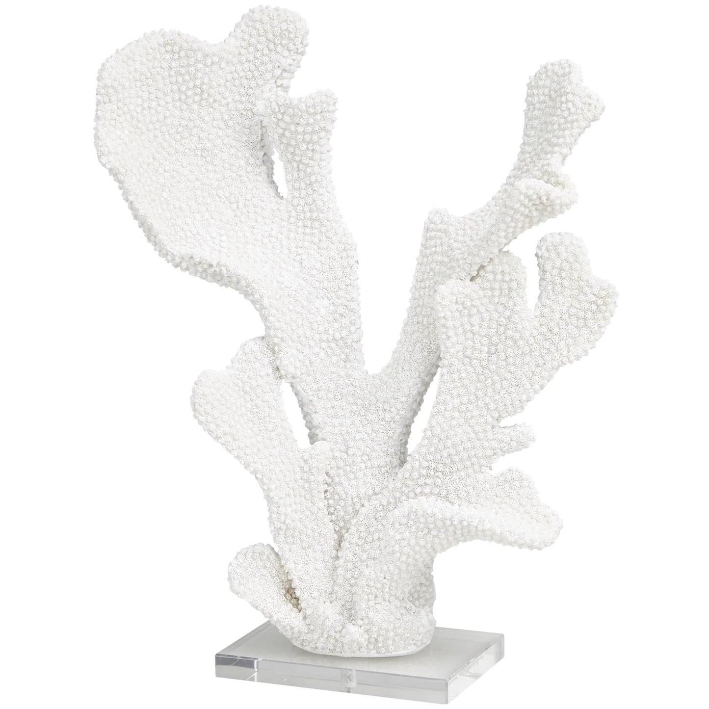 Deco 79 Polystone Coral Decorative Sculpture Tall Textured Home Decor Statue with Clear Acrylic Base, Accent Figurine 12" x 5" x 16", White
