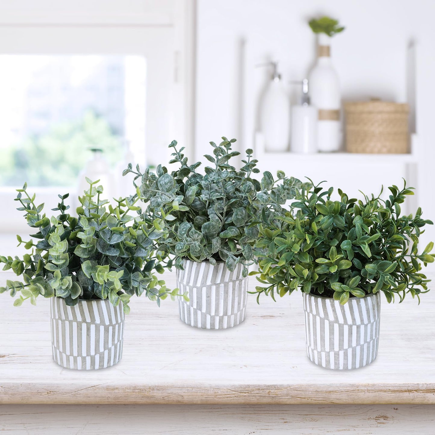Winlyn 3 Pcs Artificial Eucalyptus Boxwood Plants in Grey Textured Cylinder Concrete Planter Pots Small Potted Plants Faux Greenery Decorations for Modern Farmhouse Home Office Bookshelf Tabletop