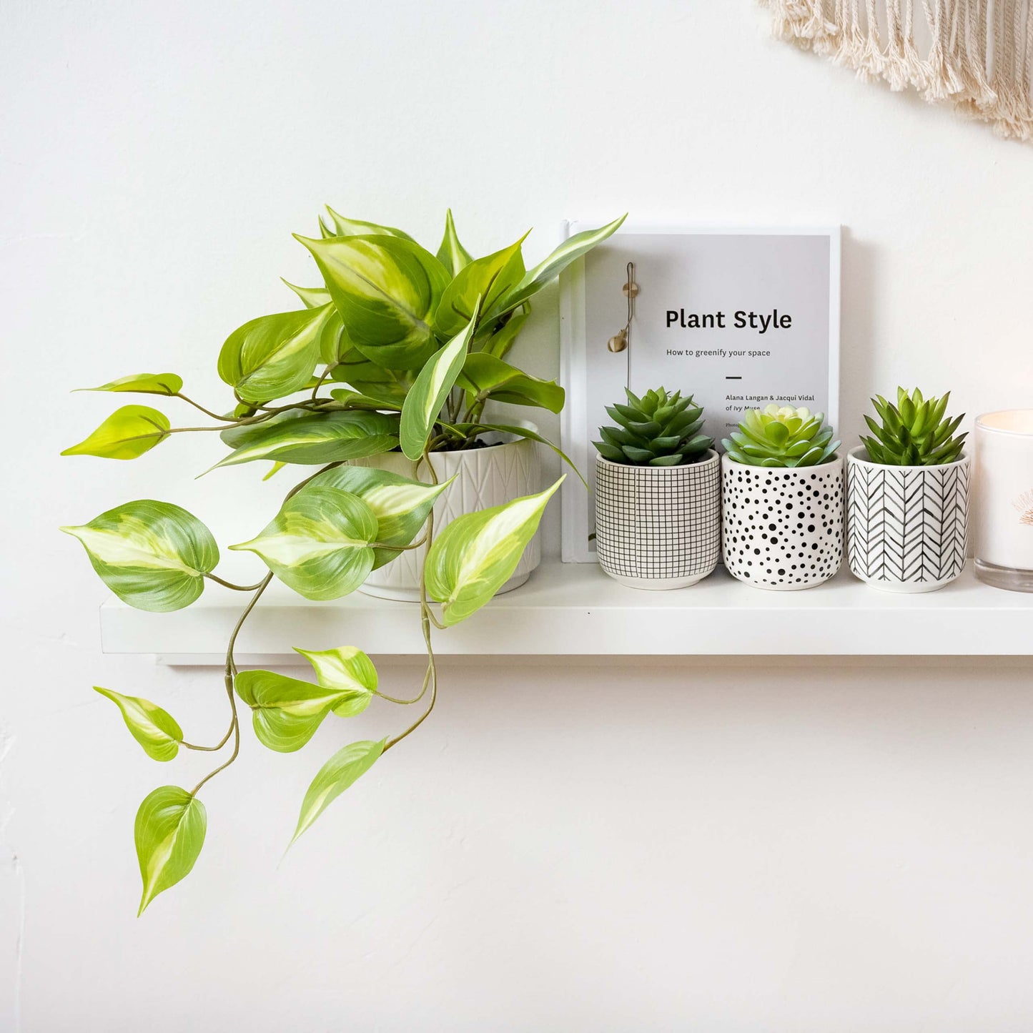 Kurrajong Farmhouse Artificial Succulents in pots | Set of 3 Black and White pots with Faux Succulents | Faux Plants Indoor | Fake Plants for Desk Decor | 4.75" high