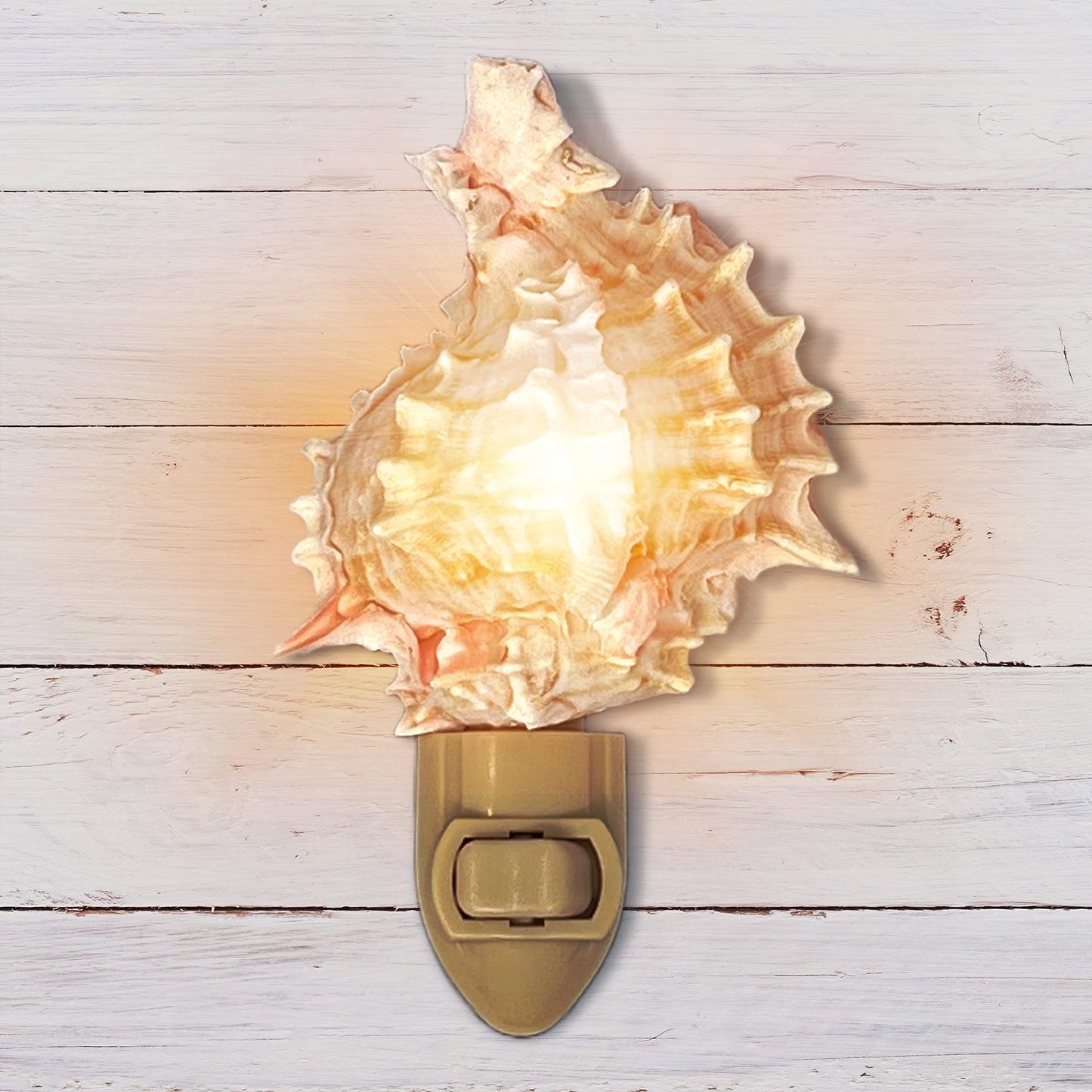 Real Shell Night Light, Seashell Decor for Coastal Bathroom or Beach House