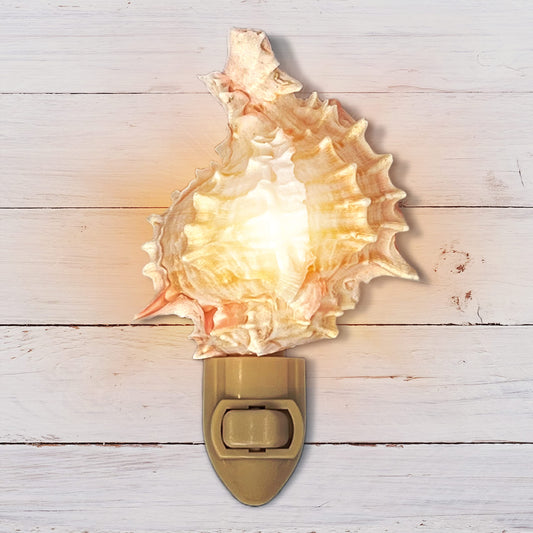 Real Shell Night Light, Seashell Decor for Coastal Bathroom or Beach House