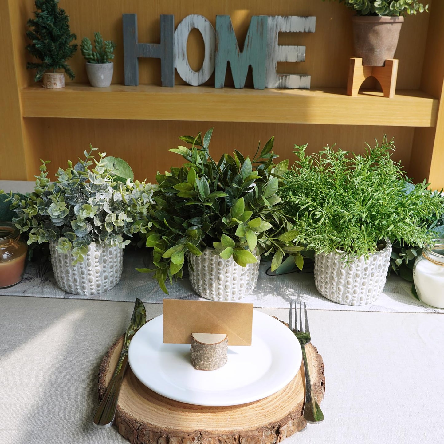 Winlyn 3 Pcs Artificial Potted Plants - Faux Eucalyptus, Boxwood, Rosemary, Greenery in Small Concrete Pots -Desk, Table, Shelf, Windowsill Decor for Indoor Outdoor Home Office
