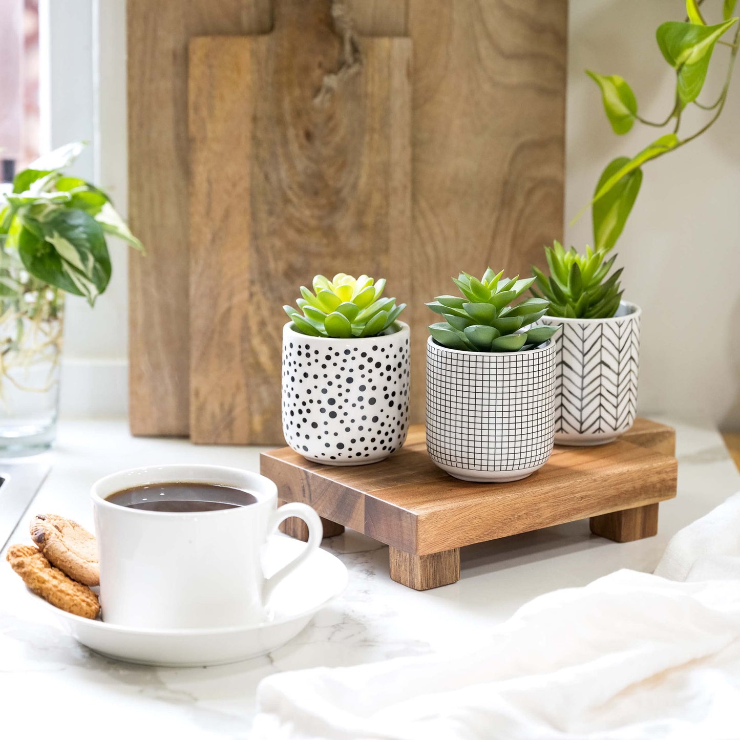 Kurrajong Farmhouse Artificial Succulents in pots | Set of 3 Black and White pots with Faux Succulents | Faux Plants Indoor | Fake Plants for Desk Decor | 4.75" high
