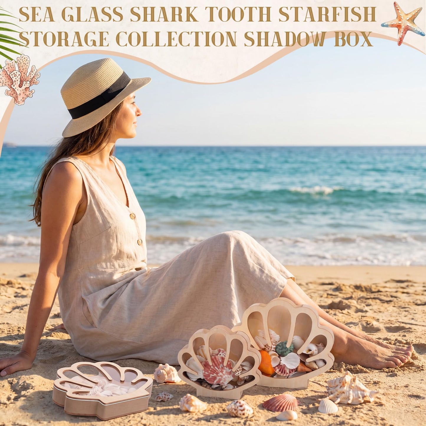 Mifoci 3 Pcs Seashell Display Box Wooden Scallop Shaped Sea Shell Holder with Acrylic Clear Window Starfish Display Case Shadow Box for Sea Glass Shark Tooth Storage Collection Summer Home Decor