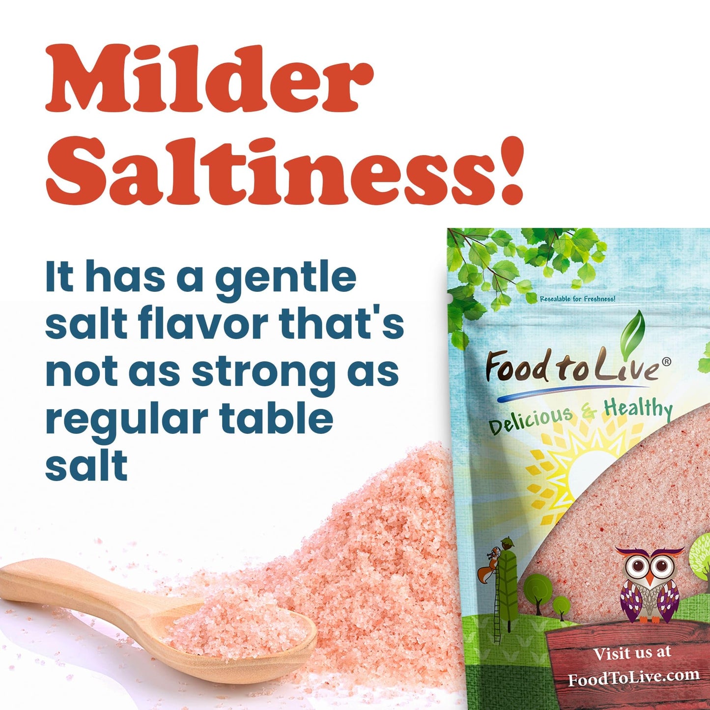 Food to Live Himalayan Pink Salt, 5 Pounds – Fine Grind, Pure, No Additives, No Preservatives, Vegan, Kosher, Bulk. Basic Seasonings. Packed with Minerals. Great for Cooking, Baking, Salt Shakers.