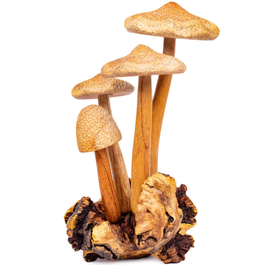 Curawood Wooden Mushrooms Sculpture for an Ornate Touch - Handcrafted 9" Mushroom Statue with Intricate Details - Authentic Garden Mushrooms Decorative Centerpiece - Artisan Cottagecore Mushroom Decor
