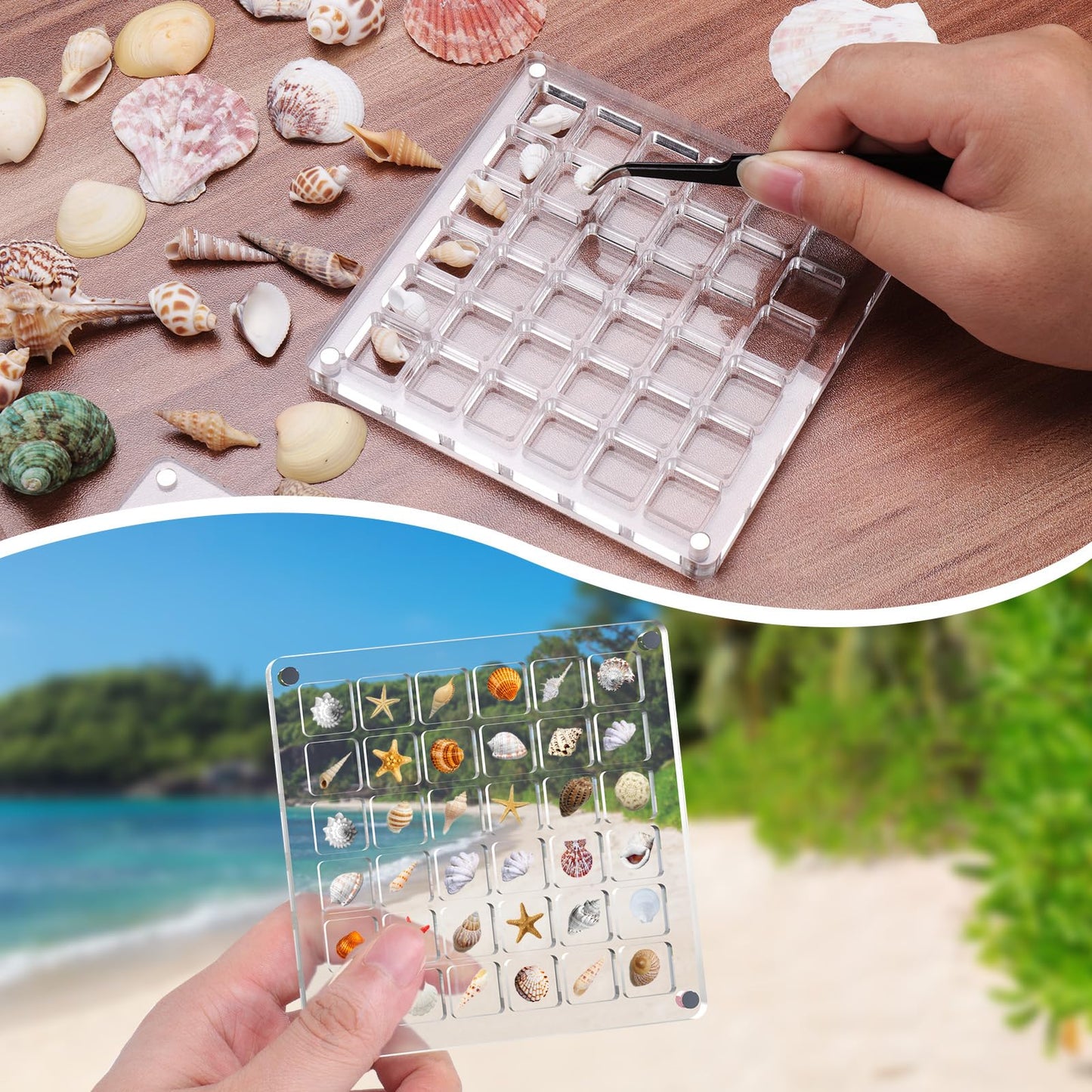 XANGNIER Acrylic Magnetic Seashell Display Box,Clear Sea Shell Display Box,Beach Magnet Storage Organizer Case for Seashell Diamond Beads,72 Grids,Transparent,2 Pack