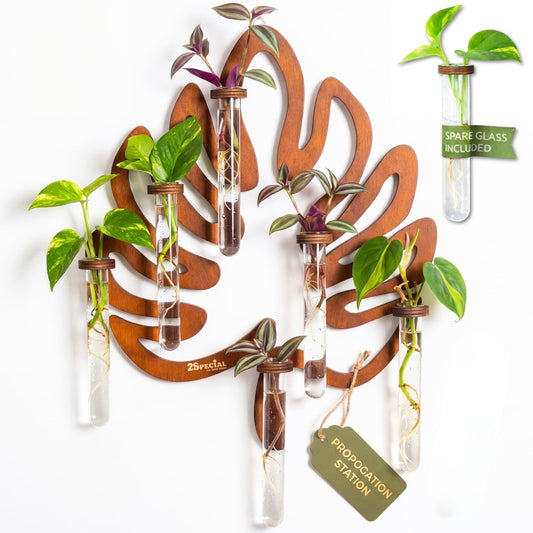 Leaf Shaped Hanging Wall Planter Terrarium for Plants with 6 Strengthened Glass Vases & 1 Spare, Wooden Plant Propagation Station for Indoor Cuttings, Hanging Propagation Stations Decor (15”)
