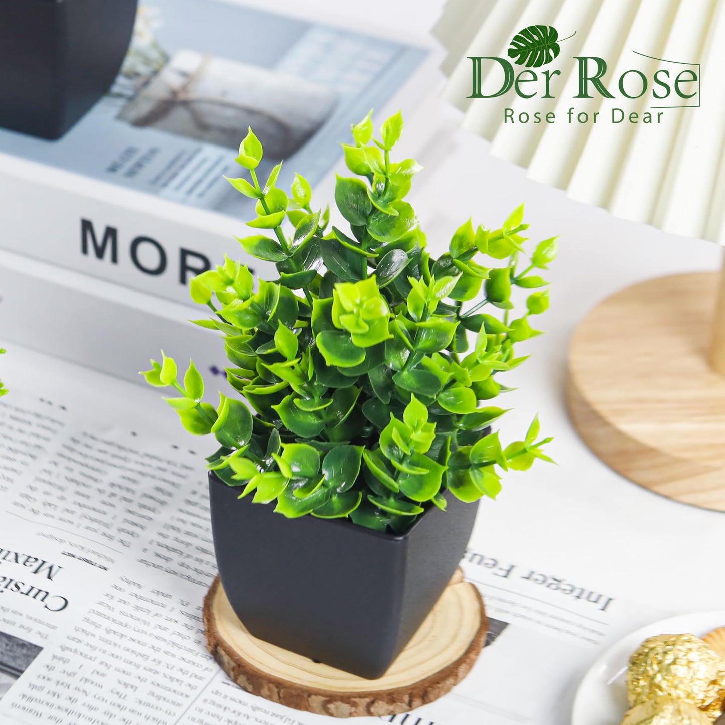 Der Rose Bundle of Set of 6 Succulents Plants and 4 Pack Small Fake Plants for Room Home Office Shelf Decor