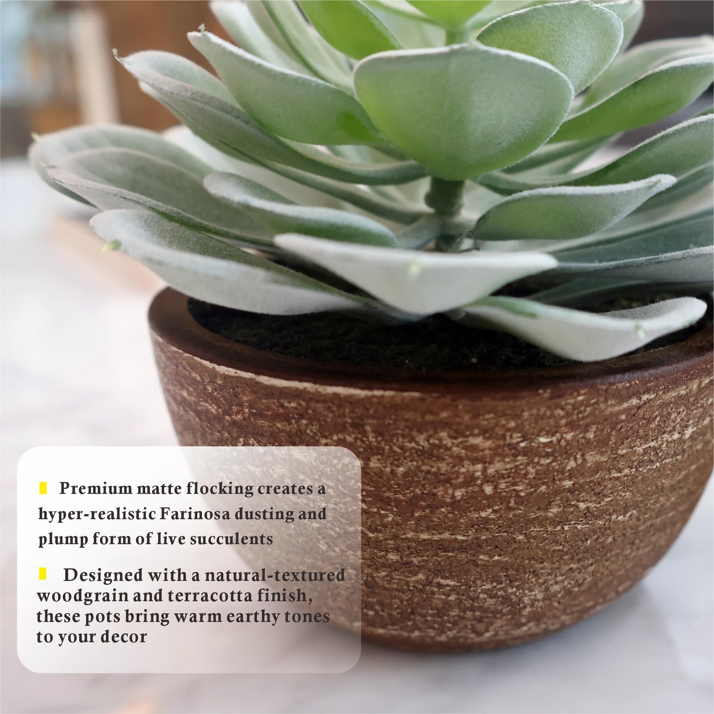 VINSUNI Artificial Succulents Plastic Artificial Green Plant for Office, Fake Succulents for Home Decoration (Set of 2 Succlents in Pots)
