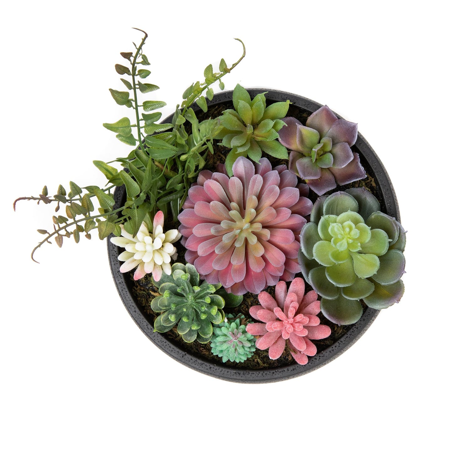 Nattol 8 Inch Round Modern Artificial Succulent Plant Arrangement, Assorted Fake Plants in Black Concrete Planter Bowl for Home Decoration