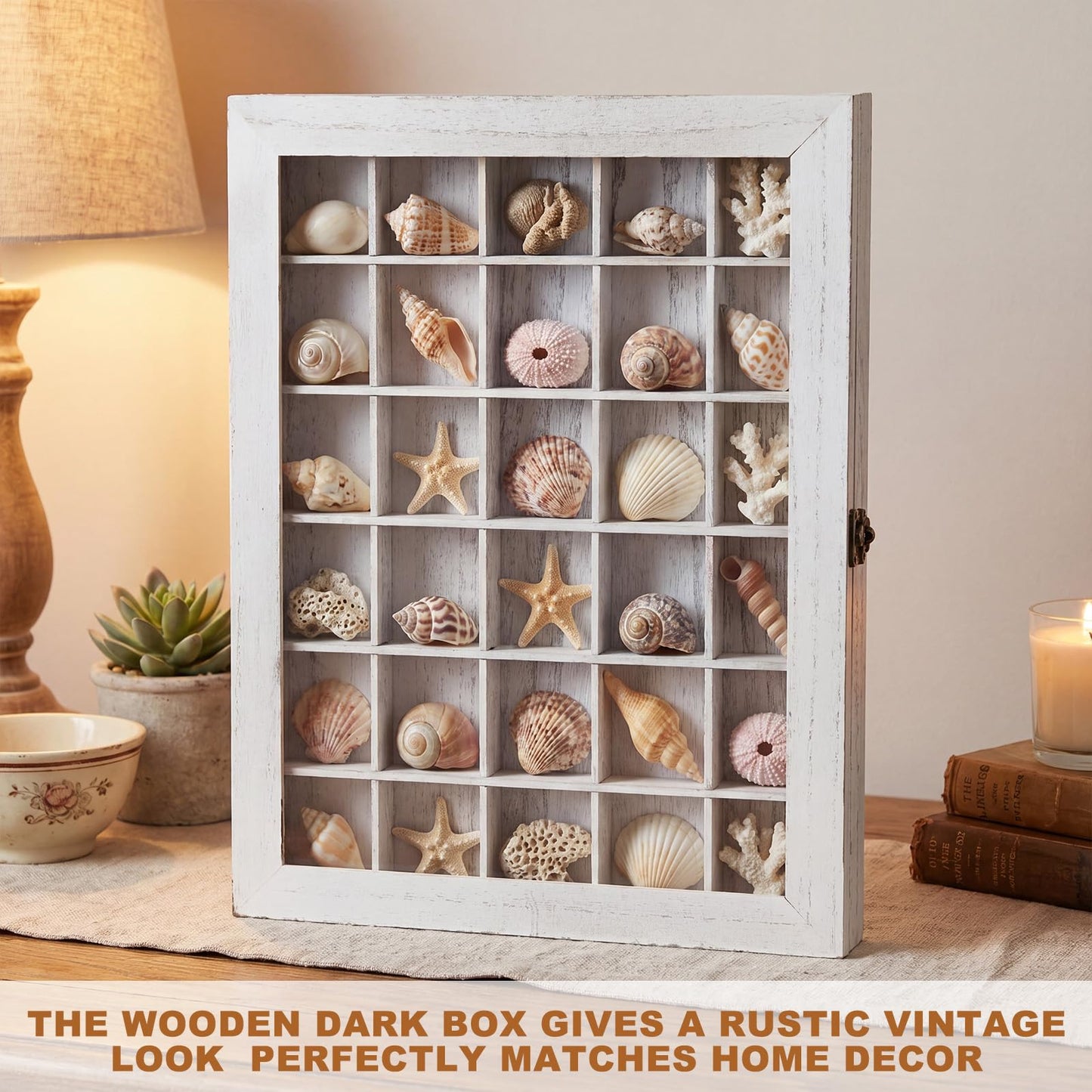 Wonderjune Shell Shadow Box with Shelf Deep Wood Shadow Box Frame Glass Door Display Case with 12/30 Compartments Storage for Collection, Souvenirs, Figures, Wine Bottle Caps, Stamps(12x16 in)