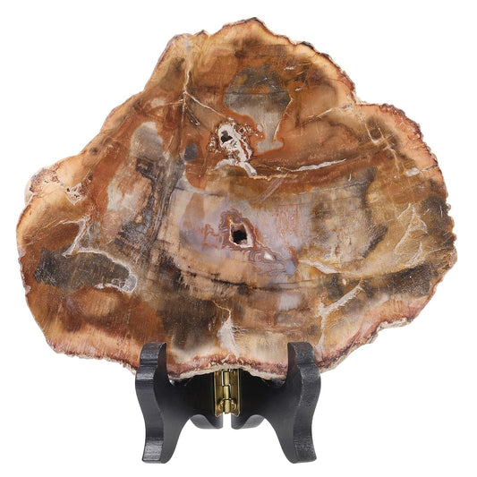 moonsix Irregular Petrified Wood Slab with Wooden Stand, Natural Mineral Stone Specimen Display for Feng Shui Decor Collection