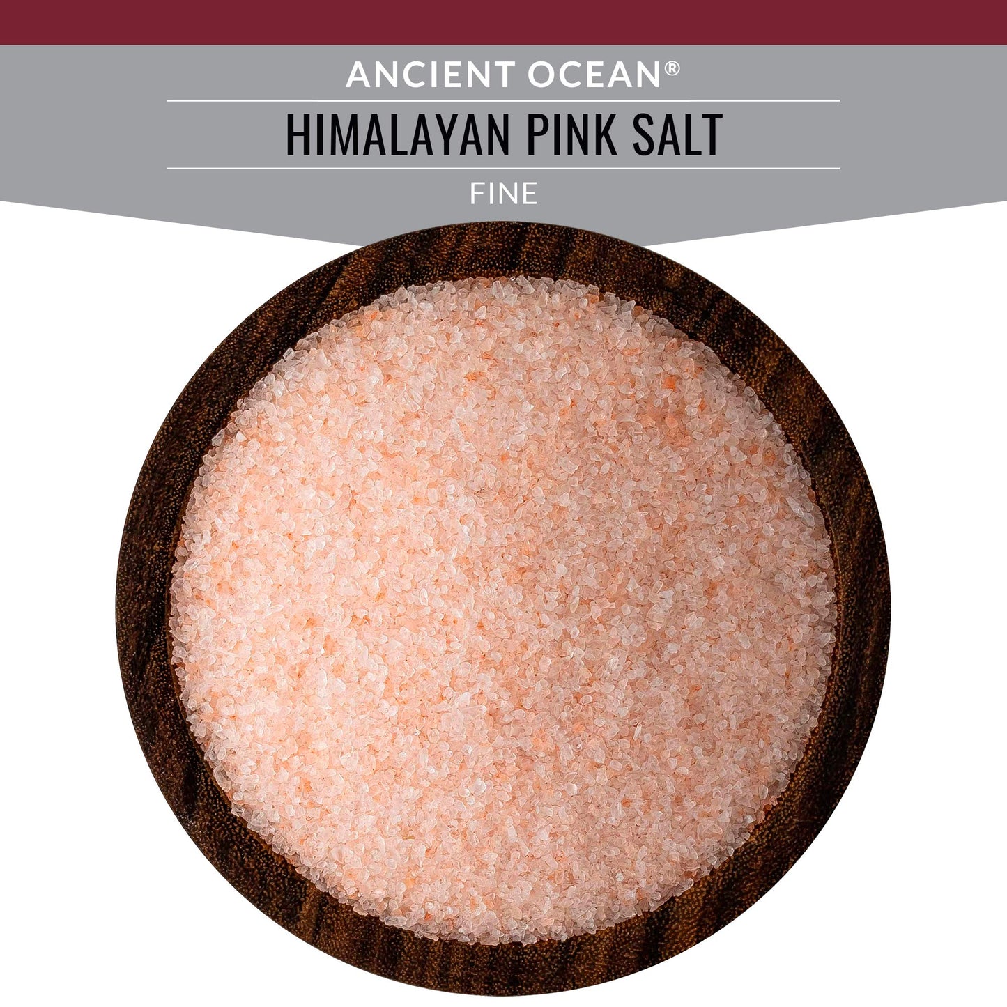 SaltWorks Ancient Ocean Himalayan Pink Salt, Fine, Artisan Shaker Jar, Mineral Salt, 6 Oz