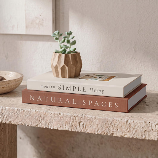 Beautiful Decorative Books - Set of 2 Boxes Enhance Your Coffee Table, Bookshelf or Mantel Shelf Decor - Aesthetic Fake/Faux Books for Modern Home Decoration, Photo Storage and as a Keepsake Box