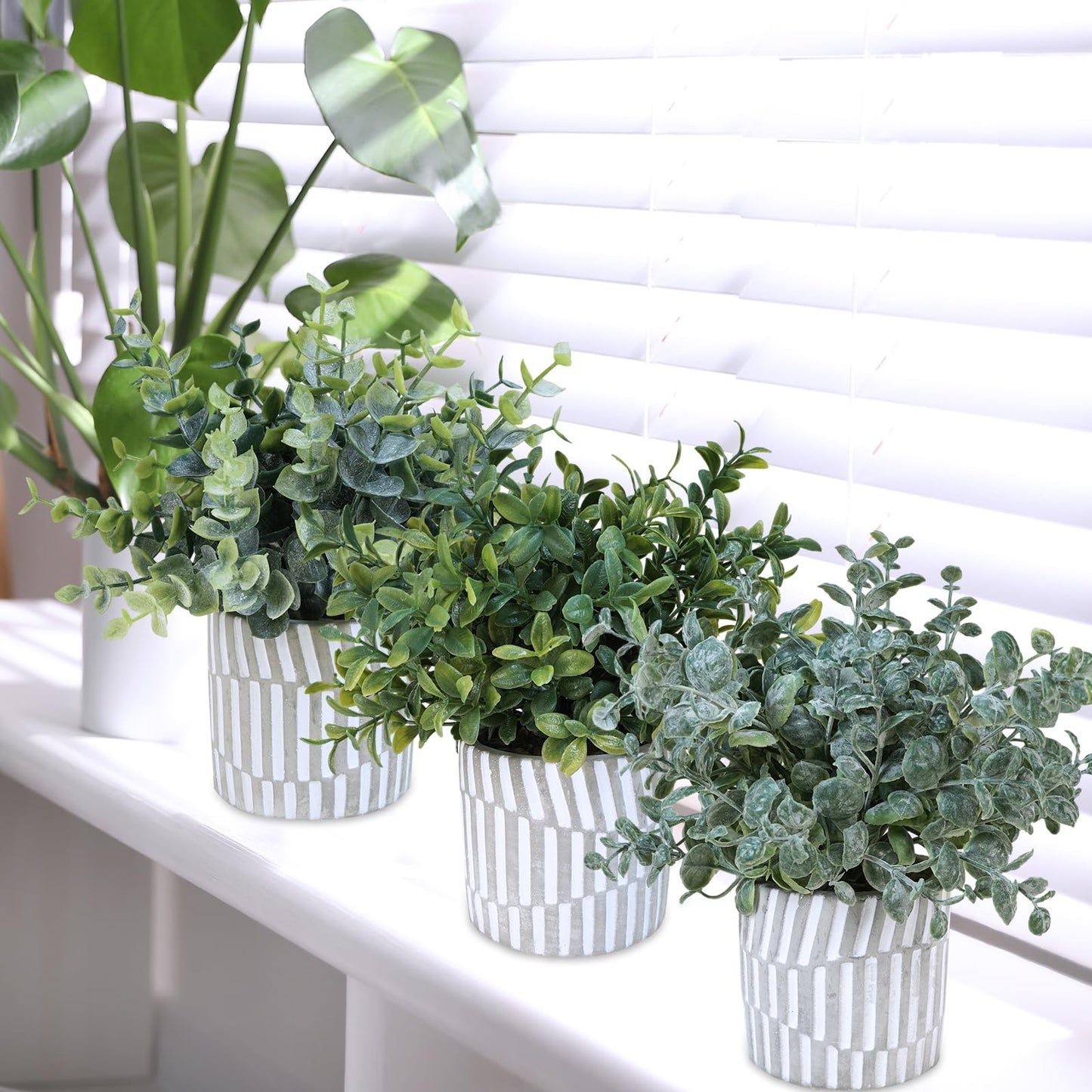 Winlyn 3 Pcs Artificial Eucalyptus Boxwood Plants in Grey Textured Cylinder Concrete Planter Pots Small Potted Plants Faux Greenery Decorations for Modern Farmhouse Home Office Bookshelf Tabletop
