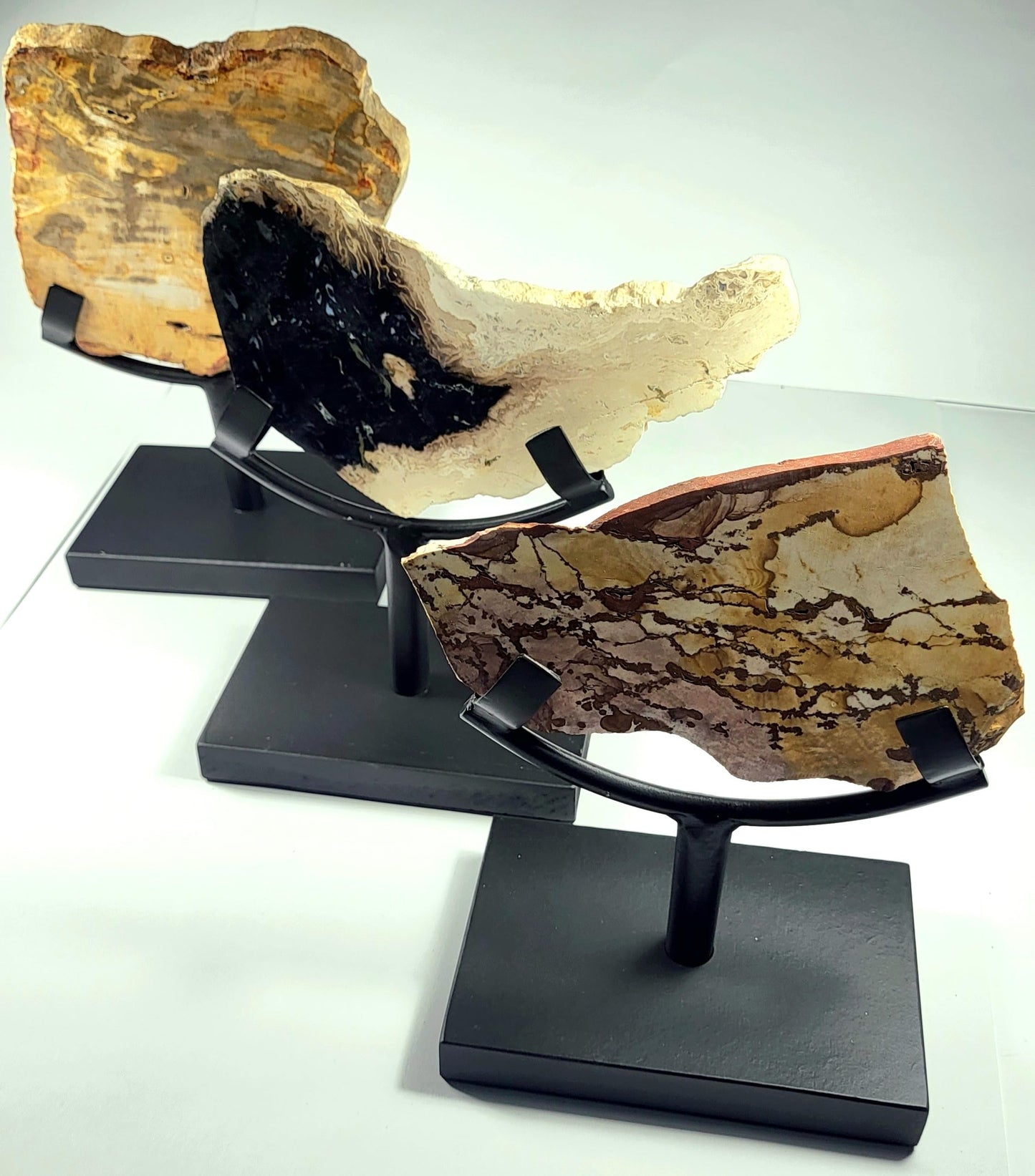 6.2" Display Stand for Slab/Slice/Fossil/Flat Minerals Base for Rocks Minerals and Crystals Black One Arm Two Prong Holder