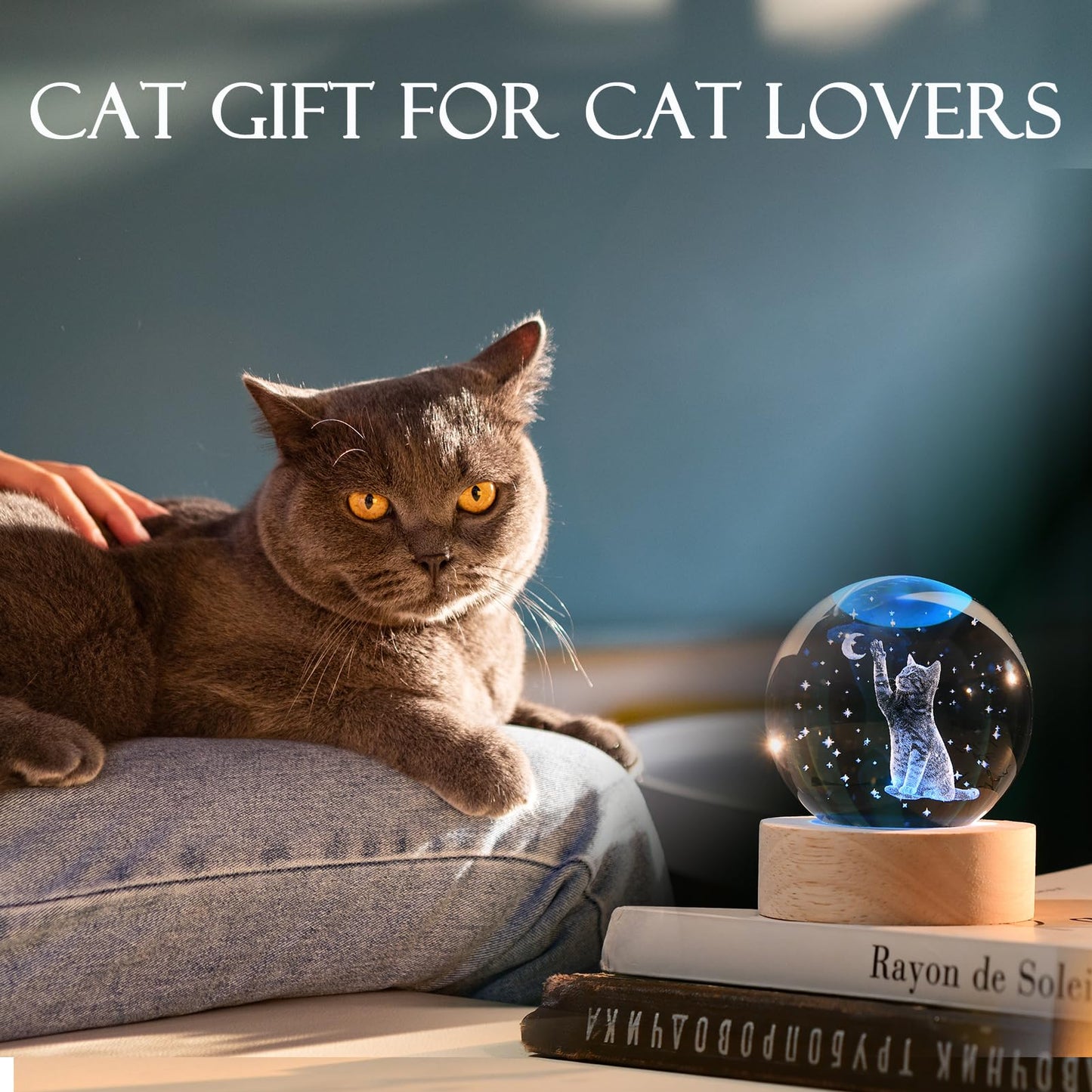 IFOLAINA 3D Cat Themed Gifts for Women Friends 3D Cat Glass Globe