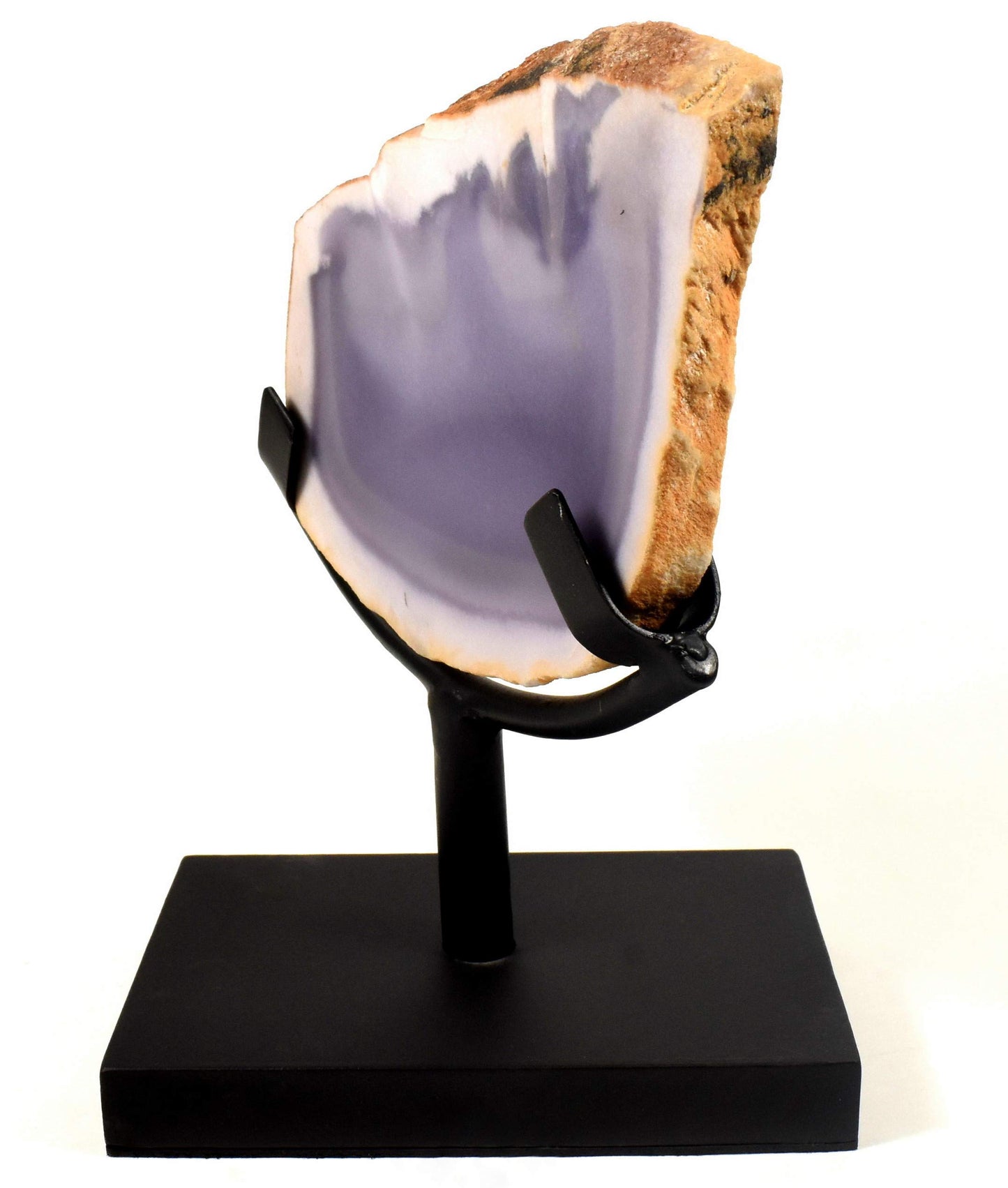 6.2" Display Stand for Slab/Slice/Fossil/Flat Minerals Base for Rocks Minerals and Crystals Black One Arm Two Prong Holder
