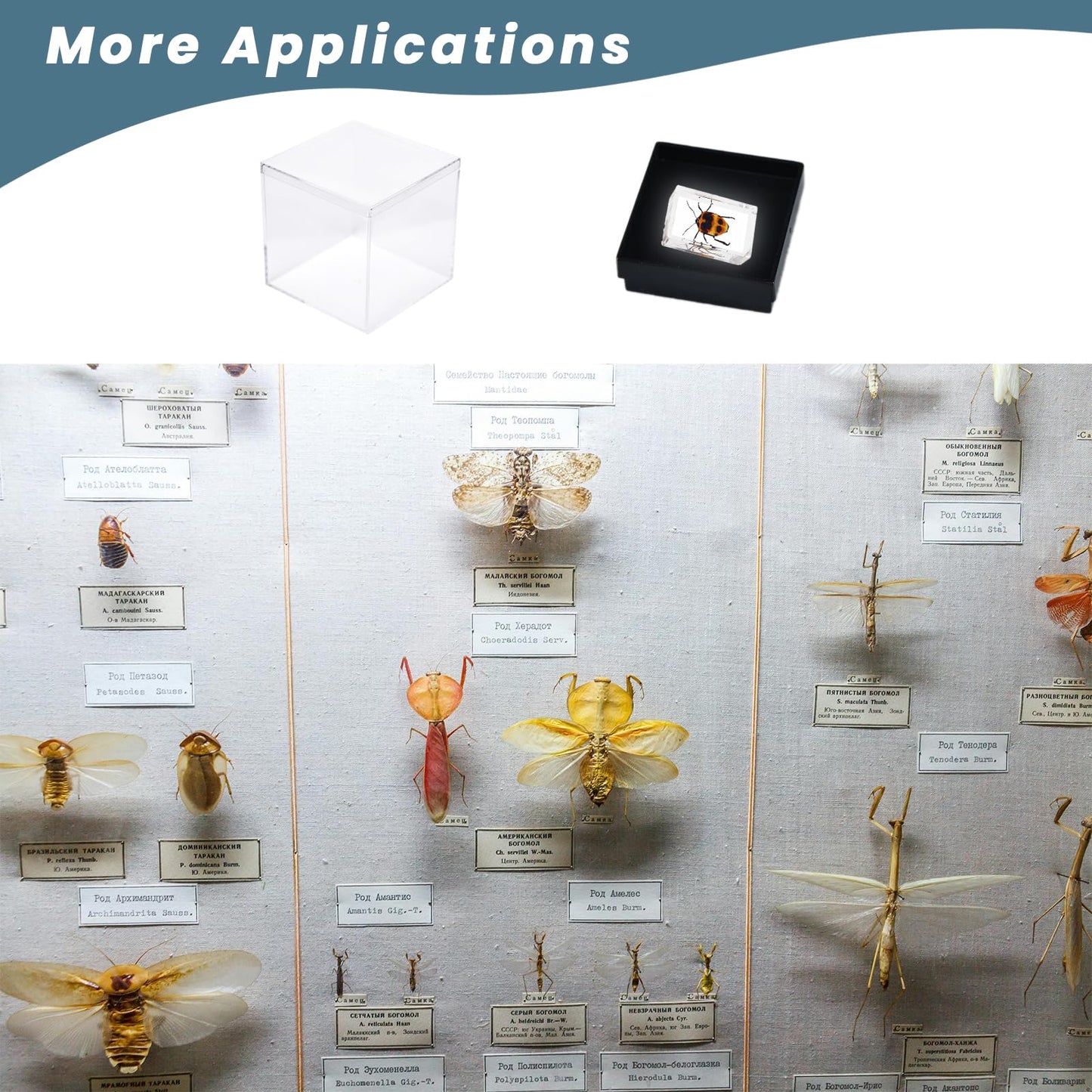 12Pcs Mineral Sample Case, Plastic Display Cube with Lid, Mini Clear Display Case, 1x1x1 Inch Specimen Boxes for Rocks and Minerals Jewelry Storage